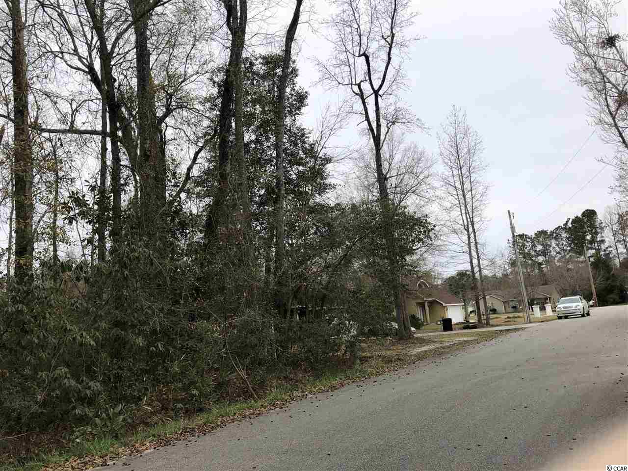 Tbd South Bend Street Loris, SC 29569 - Photo 6 of 12 Gallery Image 6