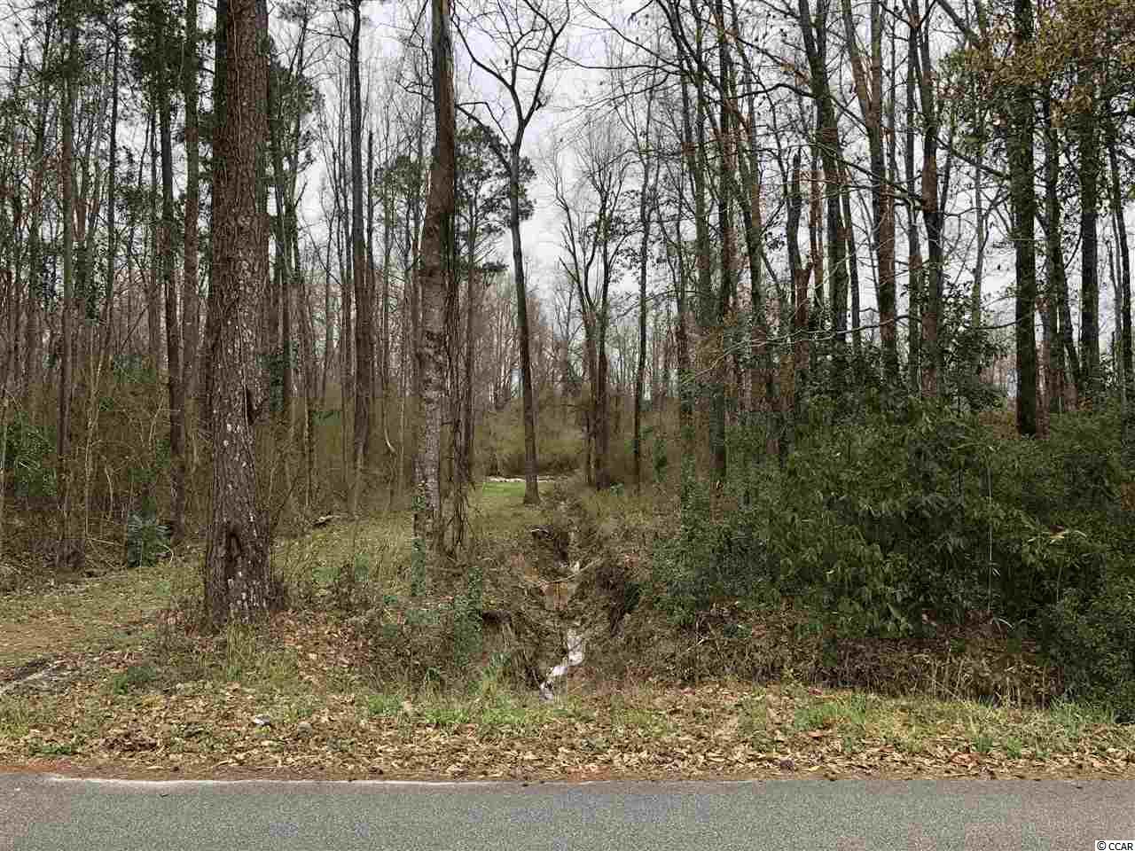 Tbd South Bend Street Loris, SC 29569 - Photo 7 of 12 Gallery Image 7