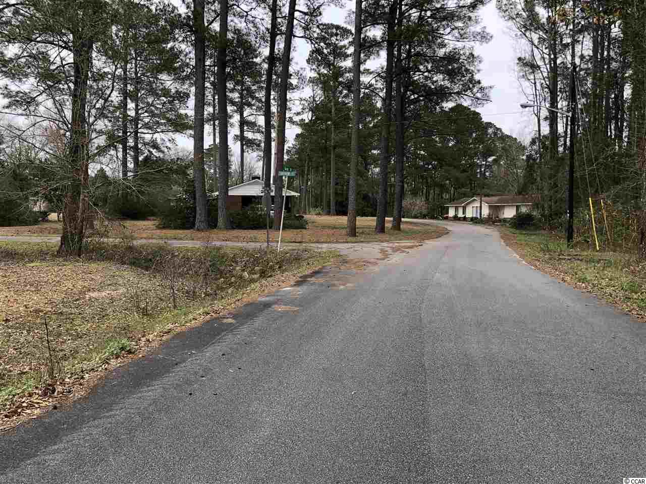 Tbd South Bend Street Loris, SC 29569 - Photo 9 of 12 Gallery Image 9