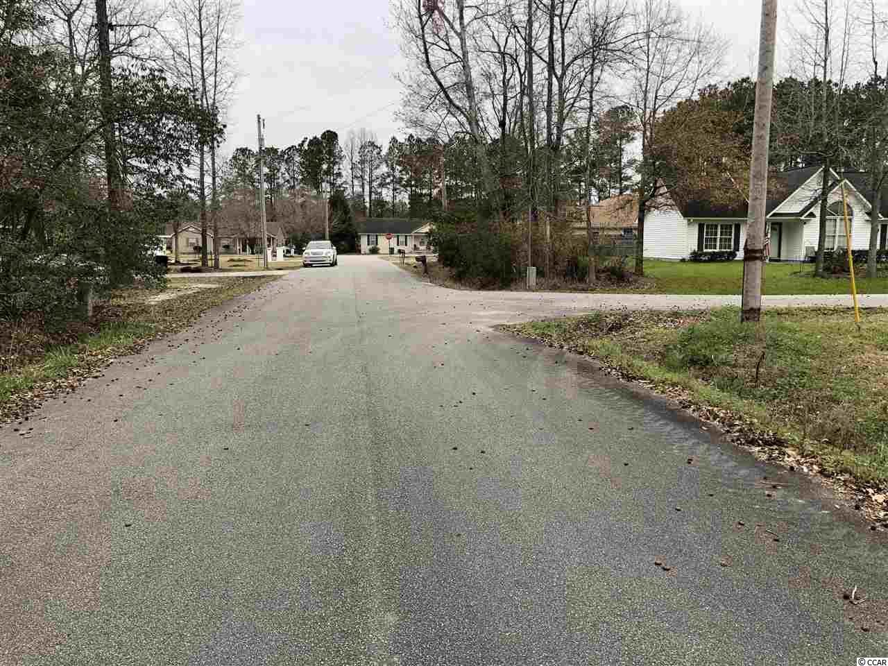 Tbd South Bend Street Loris, SC 29569 - Photo 10 of 12 Gallery Image 10