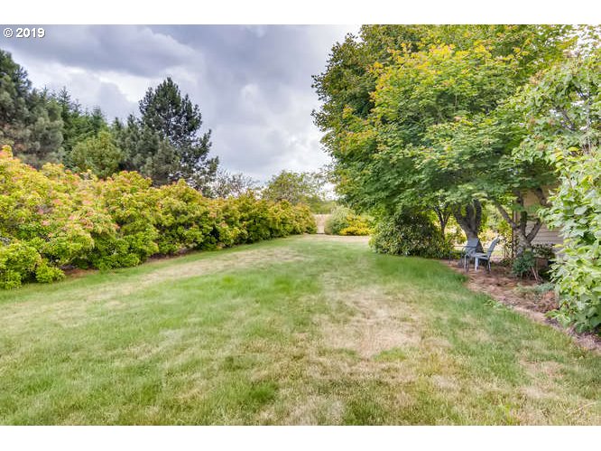 13848 Southwest Whitmore Road Hillsboro, OR 97123 - Photo 27 of 29 a view of a yard with a tree