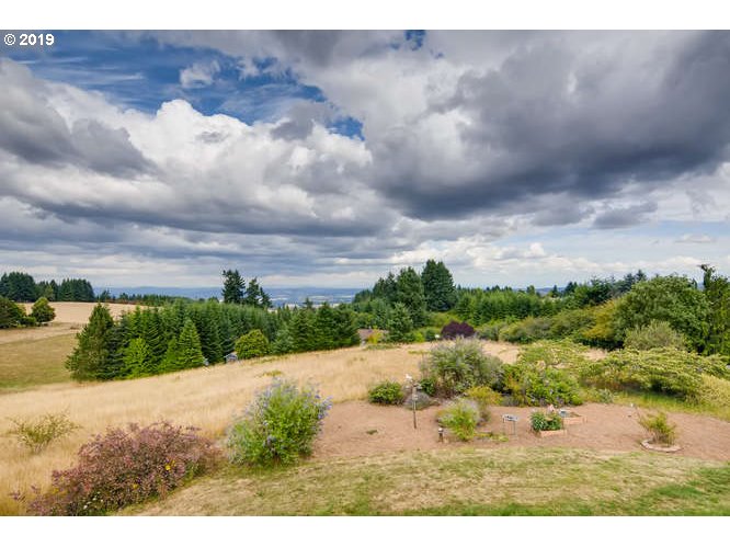 13848 Southwest Whitmore Road Hillsboro, OR 97123 - Photo 28 of 29 a view of a lake with a big yard