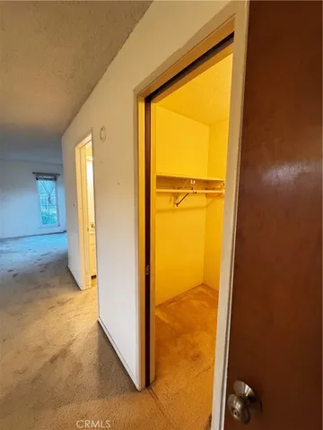 a bathroom with a sink a mirror and a shower