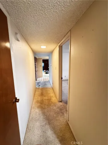 a couple of flower plants in front of house