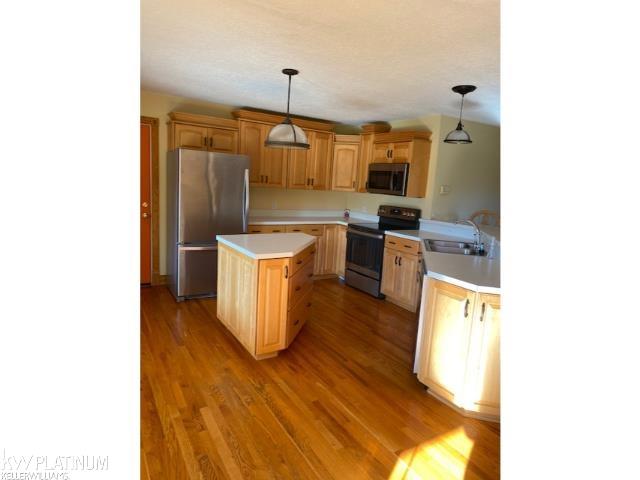 52 Goodrich Road Fostoria, MI 48435 - Photo 19 of 61