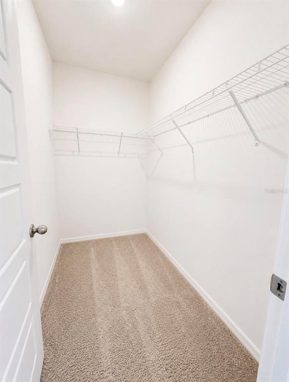 4229 Evernia Road Tavares, FL 32778 - Photo 8 of 9