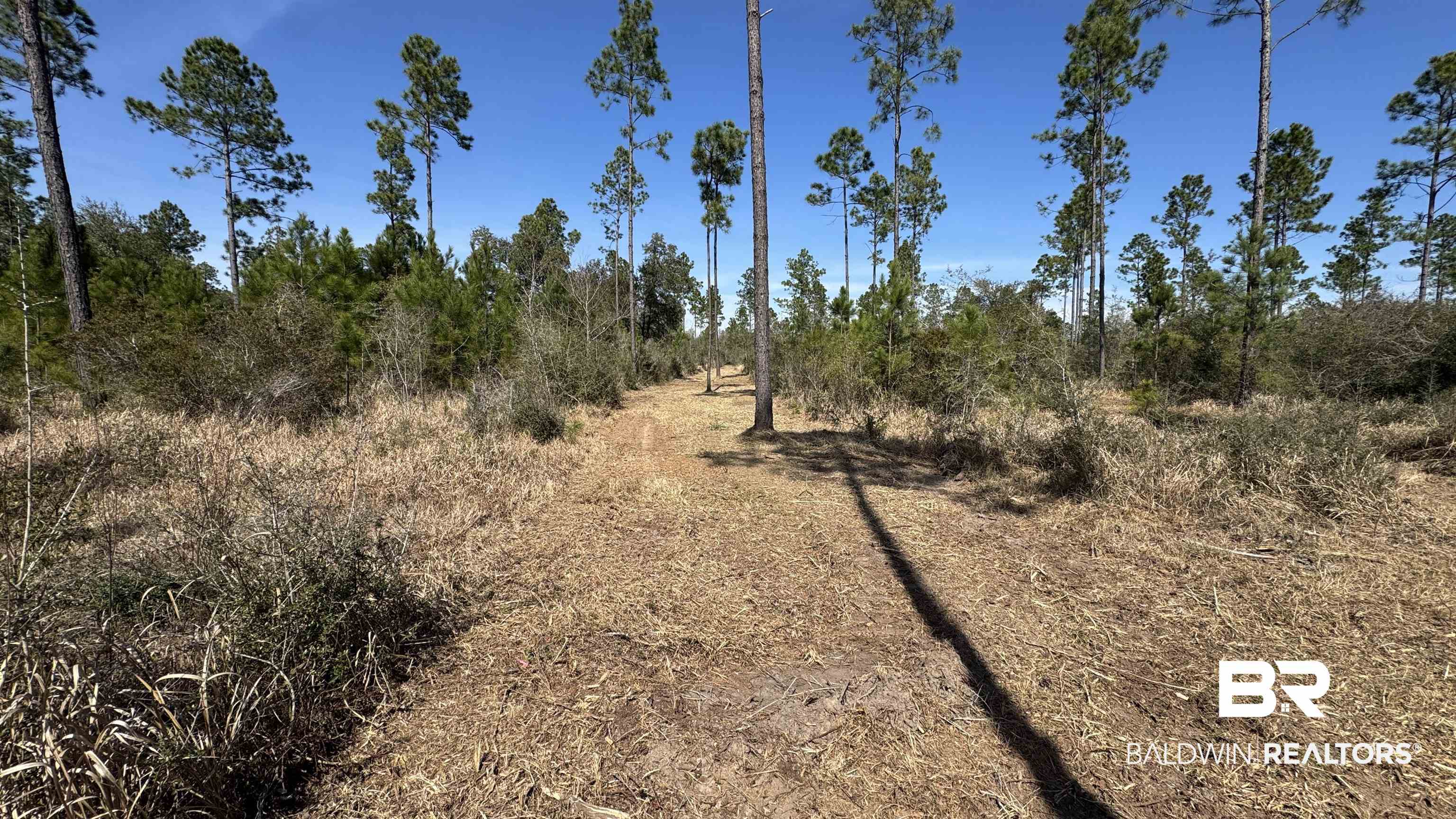 0 Archie Road Elberta, AL 36530 - Photo 6 of 16 View of nature