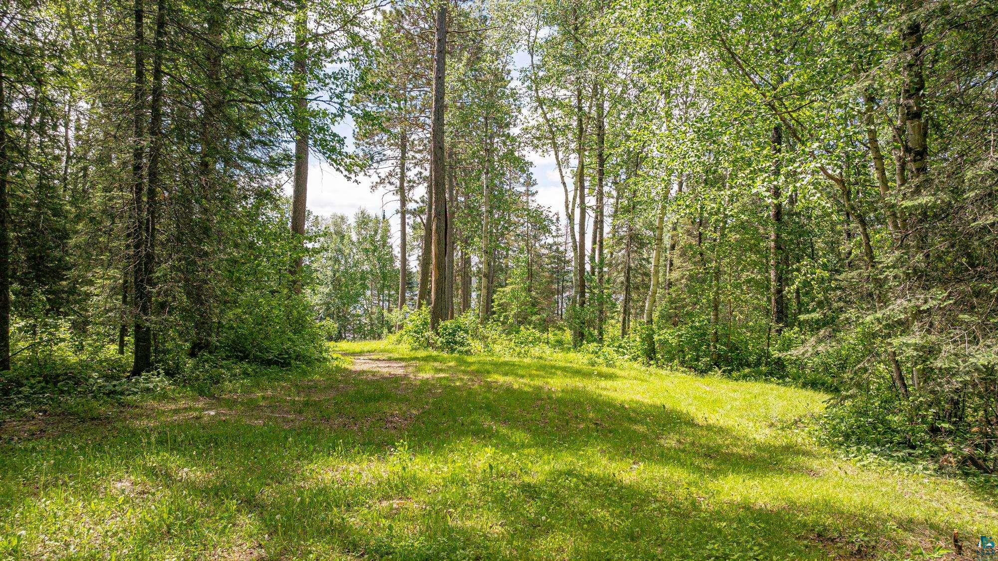 7280 Far North Road Buyck, MN 55771 - Photo 43 of 98