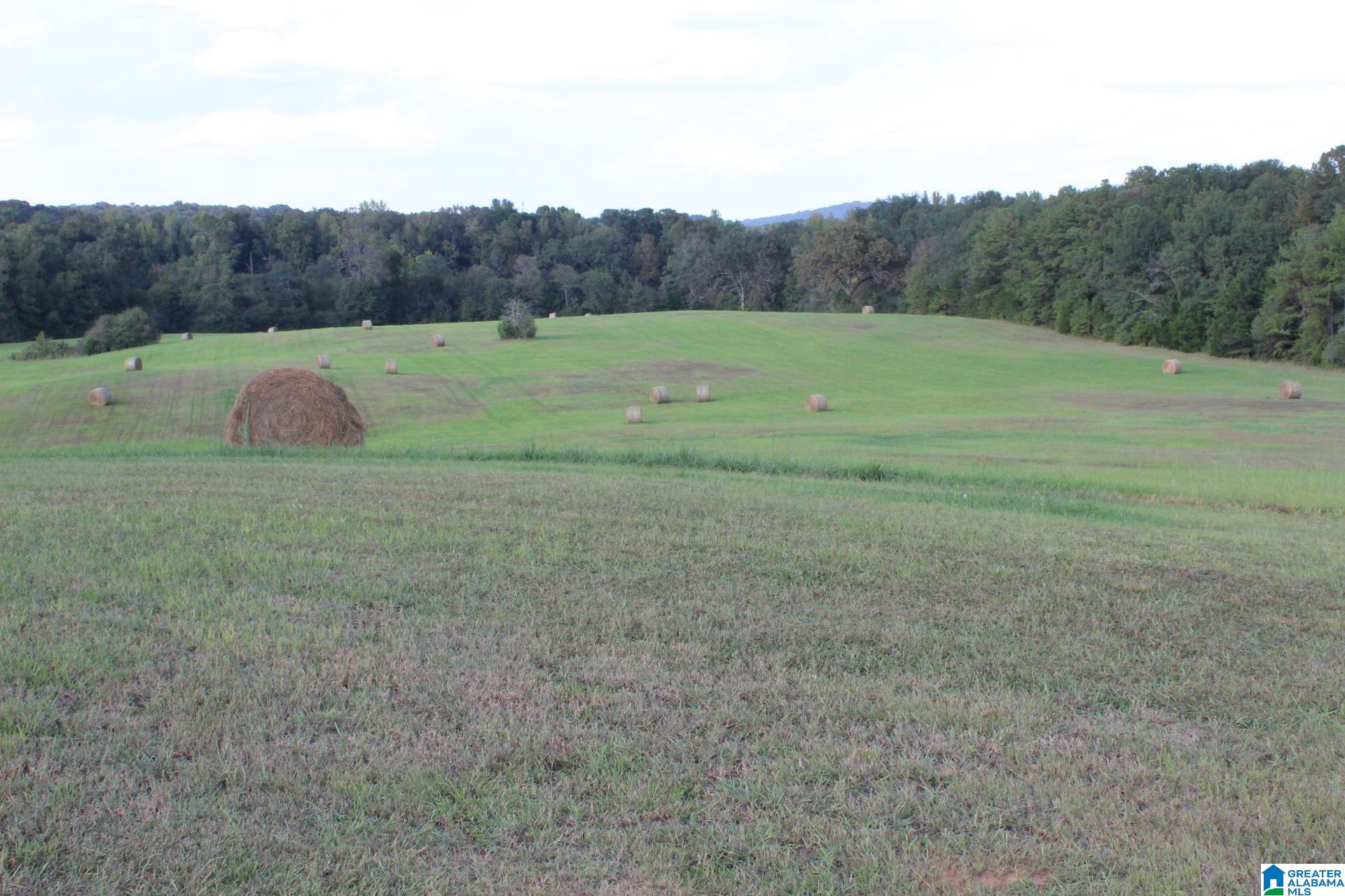 2865 Jenifer Road Munford, AL 36268 - Photo 47 of 47