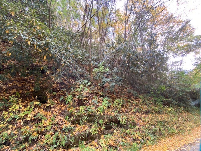 398 Ball Hollow Road Cosby, TN 37722 - Photo 3 of 7
