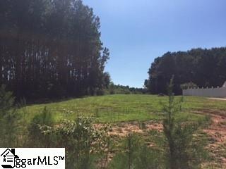 519 McKinney Road Simpsonville, SC 29681 - Photo 2 of 8 Gallery Image 2