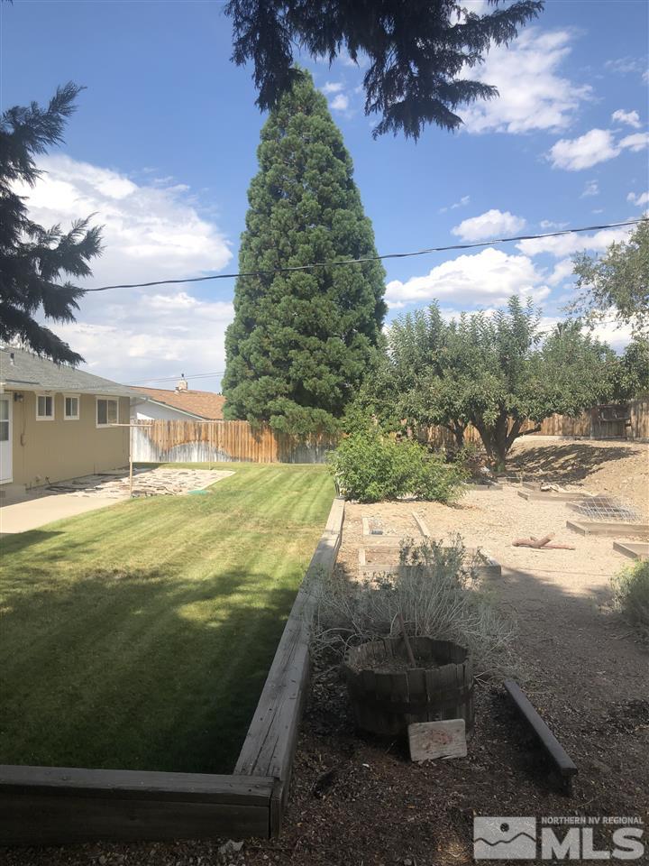 13870 Chamy Drive Reno, NV 89521 - Photo 17 of 21 a view of a yard