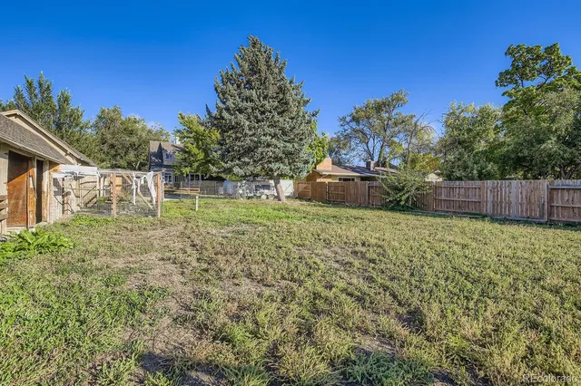 a view of a backyard with large trees