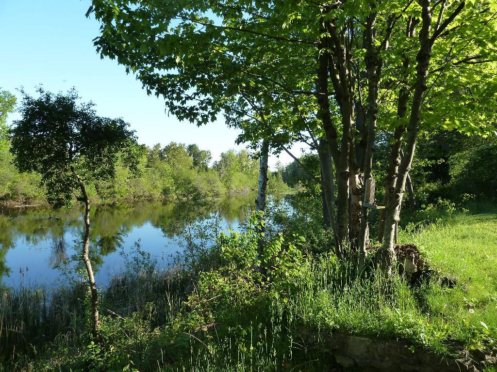 400 Long Rapids Road Alpena, MI 49707 - Photo 16 of 21 Gallery Image 16