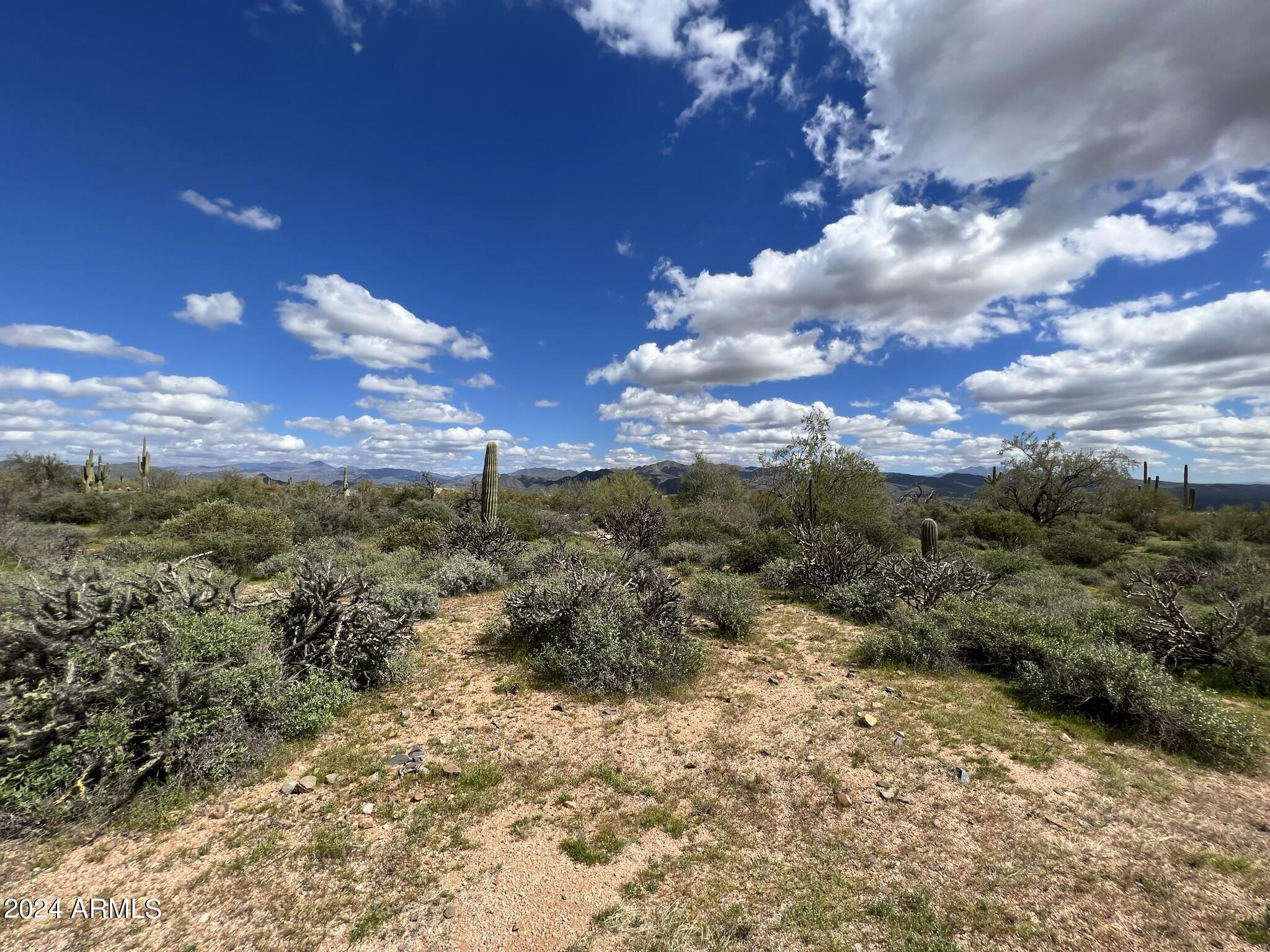 17400 East Lowden Road Rio Verde, AZ 85263 - Photo 3 of 24 Peaceful Desert Living