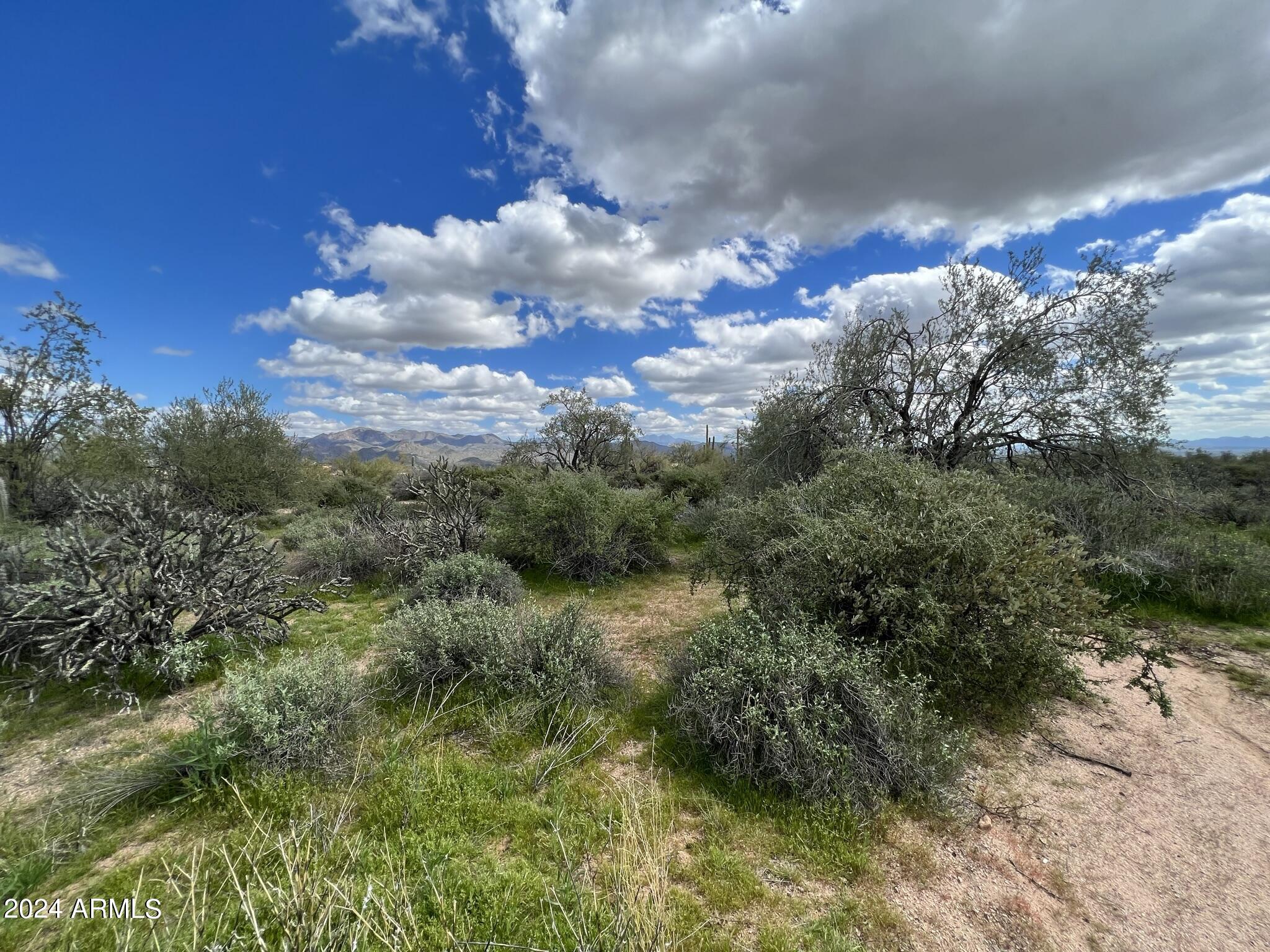17400 East Lowden Road Rio Verde, AZ 85263 - Photo 5 of 24 Lush Desert Vegetation
