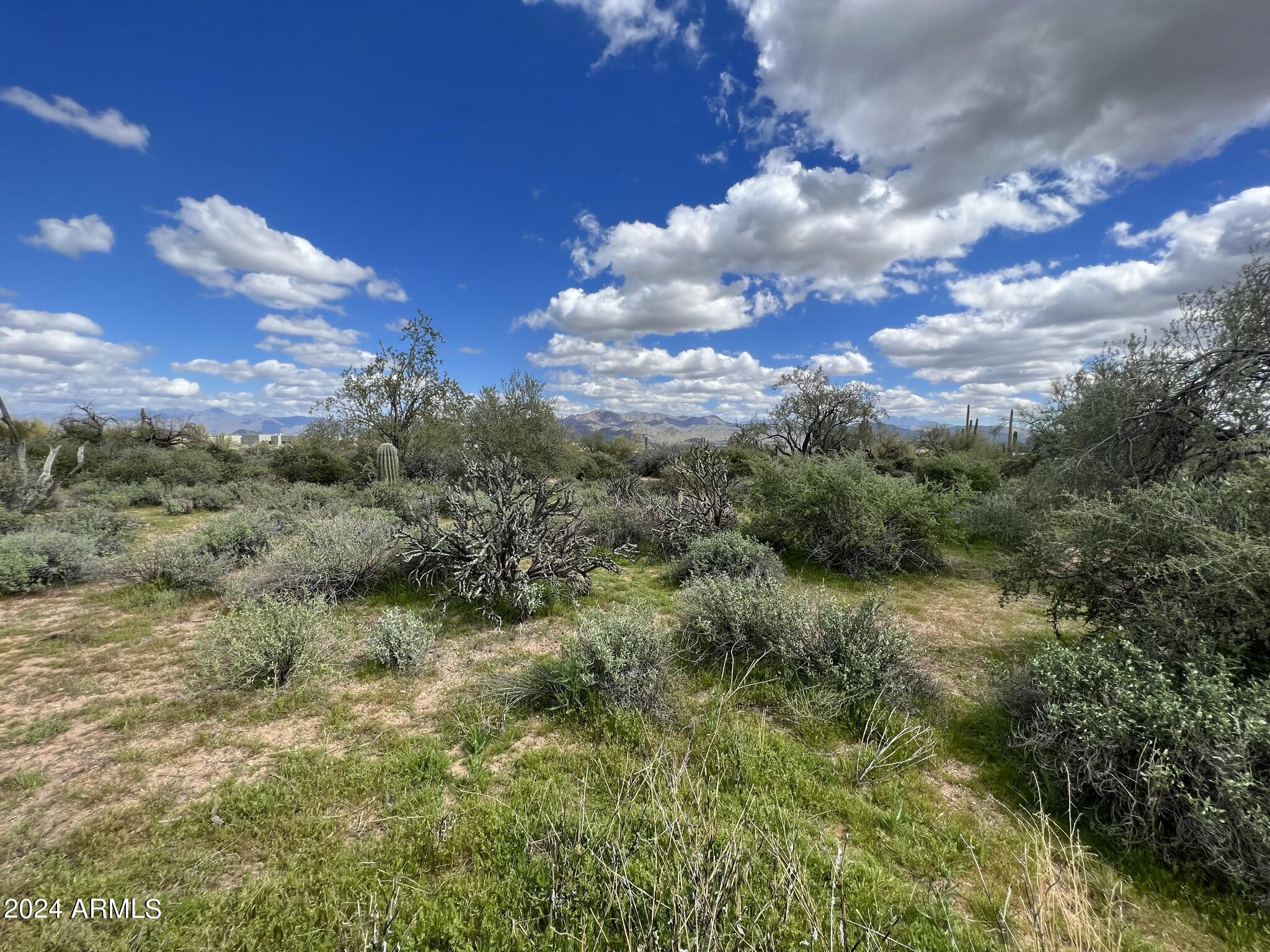 17400 East Lowden Road Rio Verde, AZ 85263 - Photo 6 of 24 Build your Dream Home Here