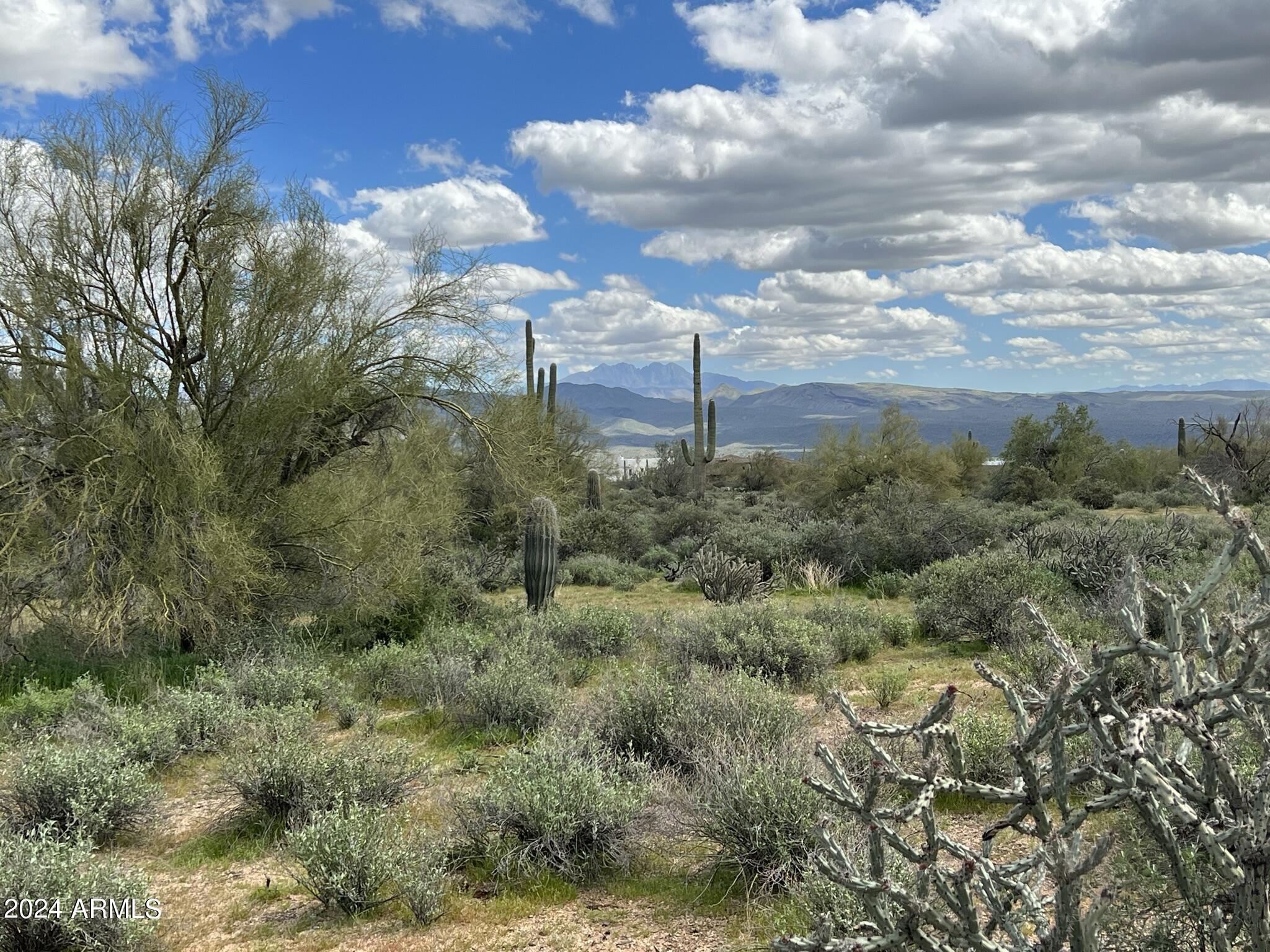 17400 East Lowden Road Rio Verde, AZ 85263 - Photo 7 of 24 Beautiful Mountain Ranges
