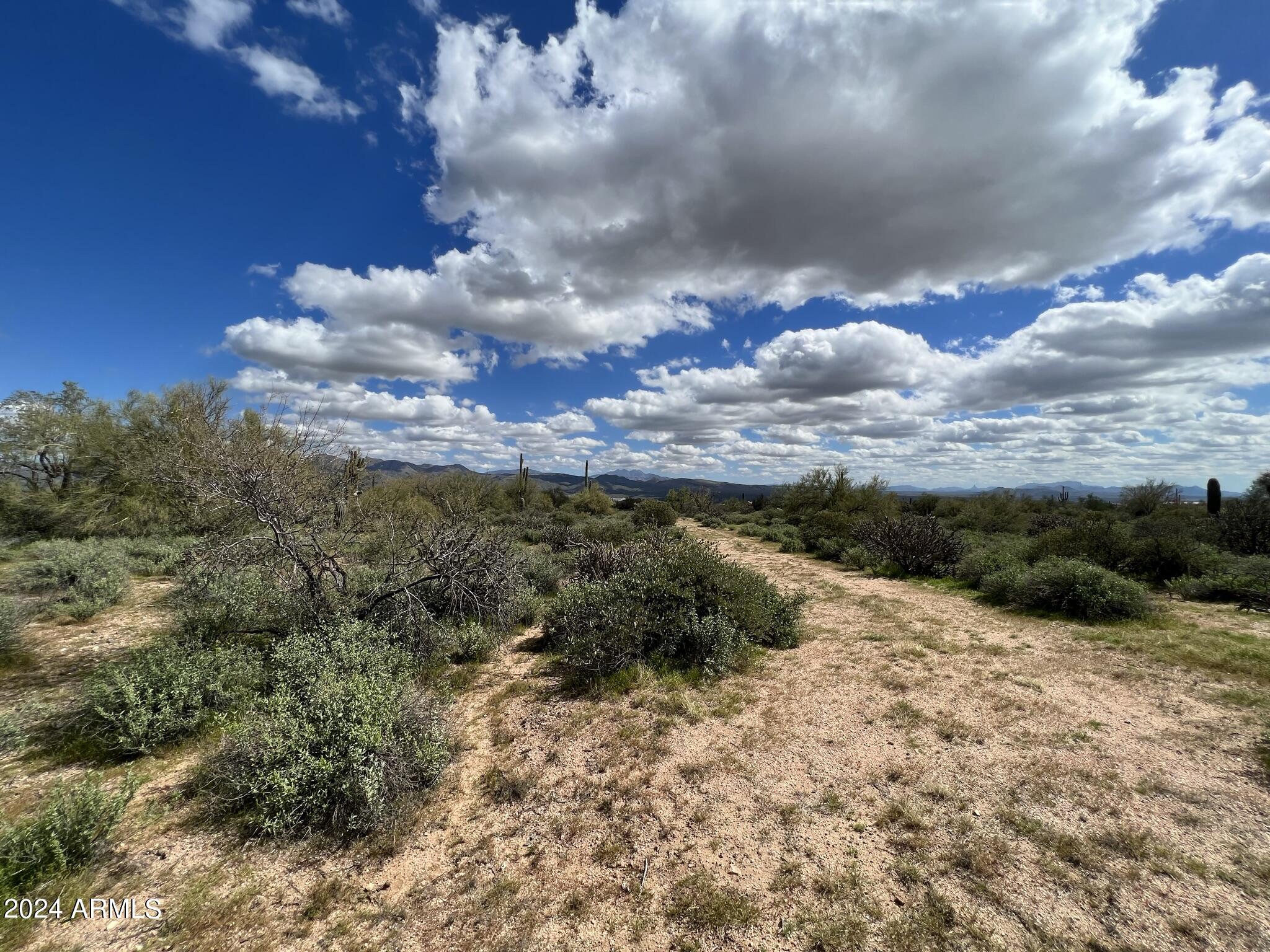17400 East Lowden Road Rio Verde, AZ 85263 - Photo 8 of 24 Golden Sandy Desert