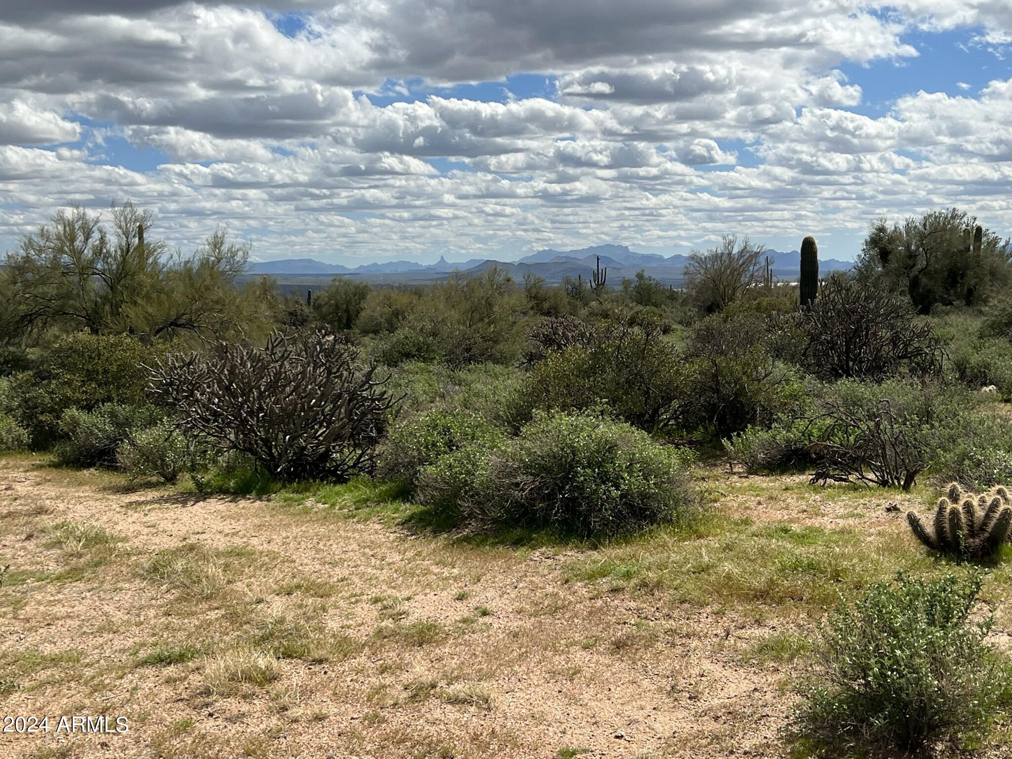 17400 East Lowden Road Rio Verde, AZ 85263 - Photo 9 of 24 Majestic View of Weavers Needle