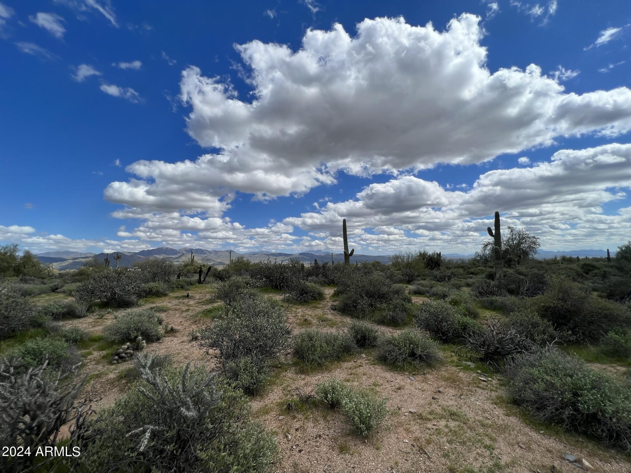17400 East Lowden Road Rio Verde, AZ 85263 - Photo 10 of 24 Beautiful Mcdowell Mountains