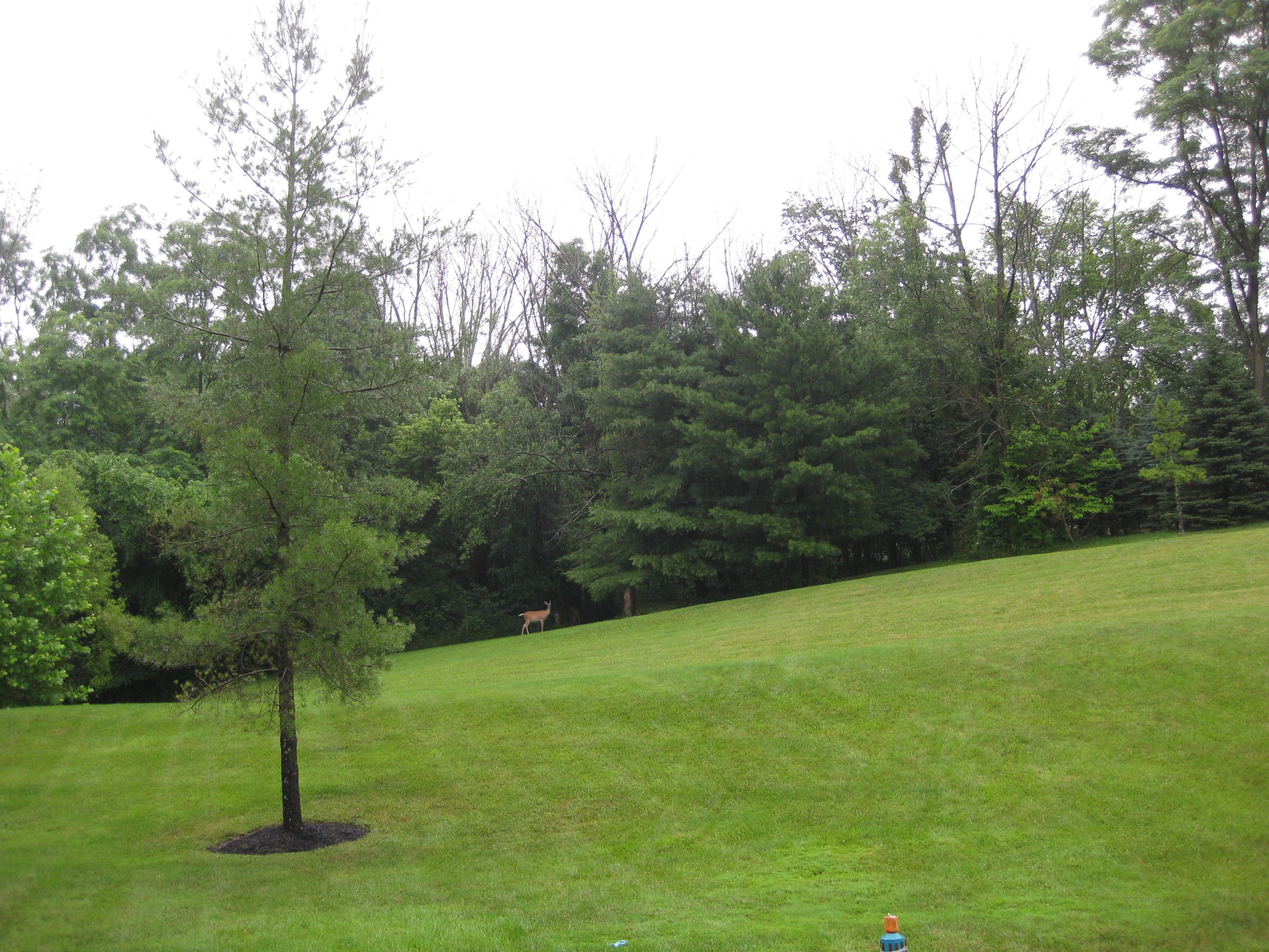 4333 Headleys Mill Road Southwest Pataskala, OH 43062 - Photo 6 of 29