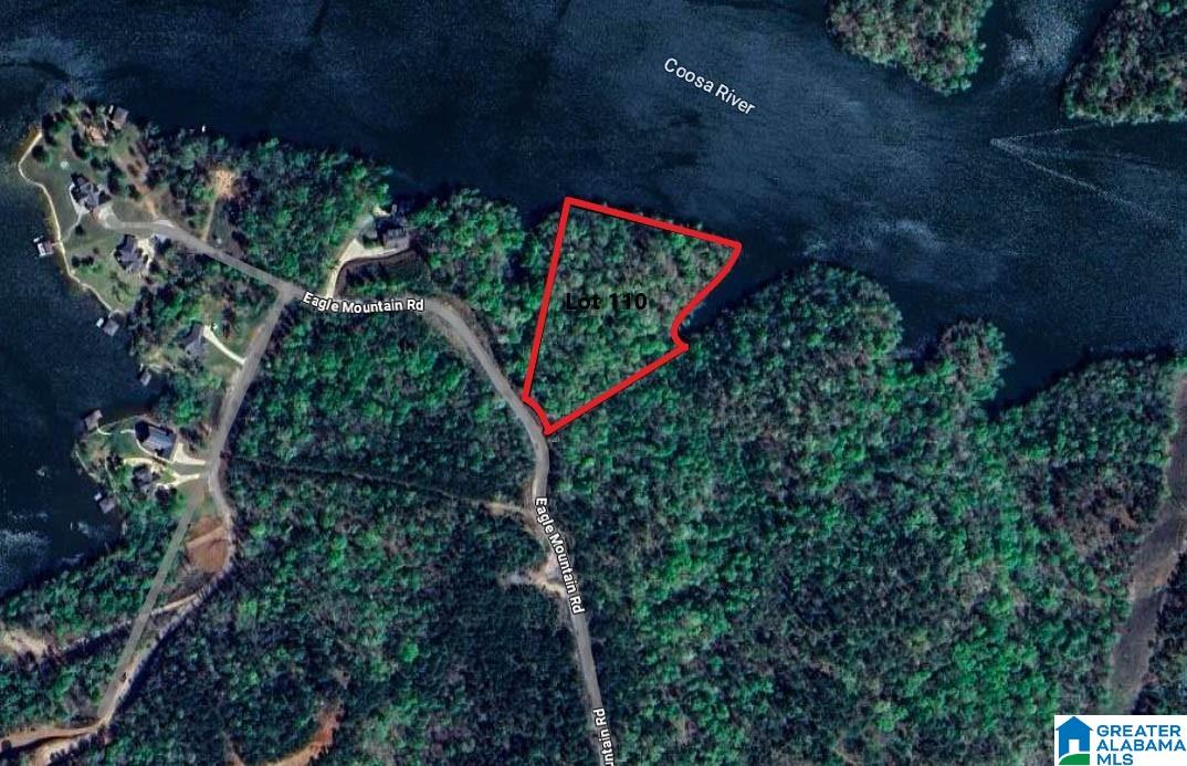 0 Eagle Mountain Road, Unit 110 Rockford, AL 35136 - Photo 1 of 1