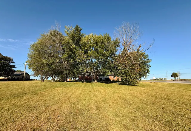 a view of an ocean and trees