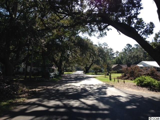 26 Faulk Landing Road Murrells Inlet, SC 29576 - Photo 19 of 19