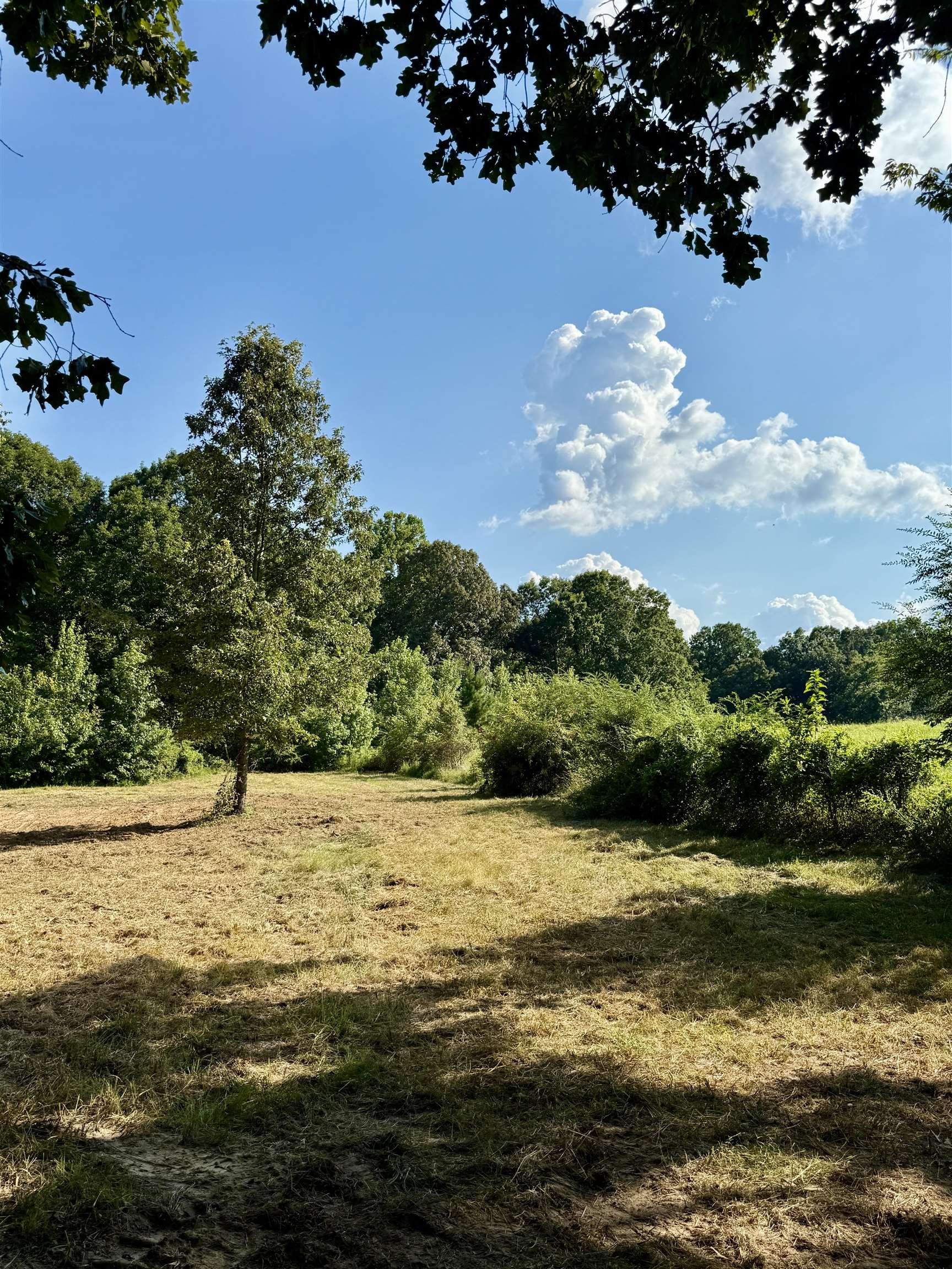 2360 Burnett Road Moscow, TN 38076 - Photo 12 of 33