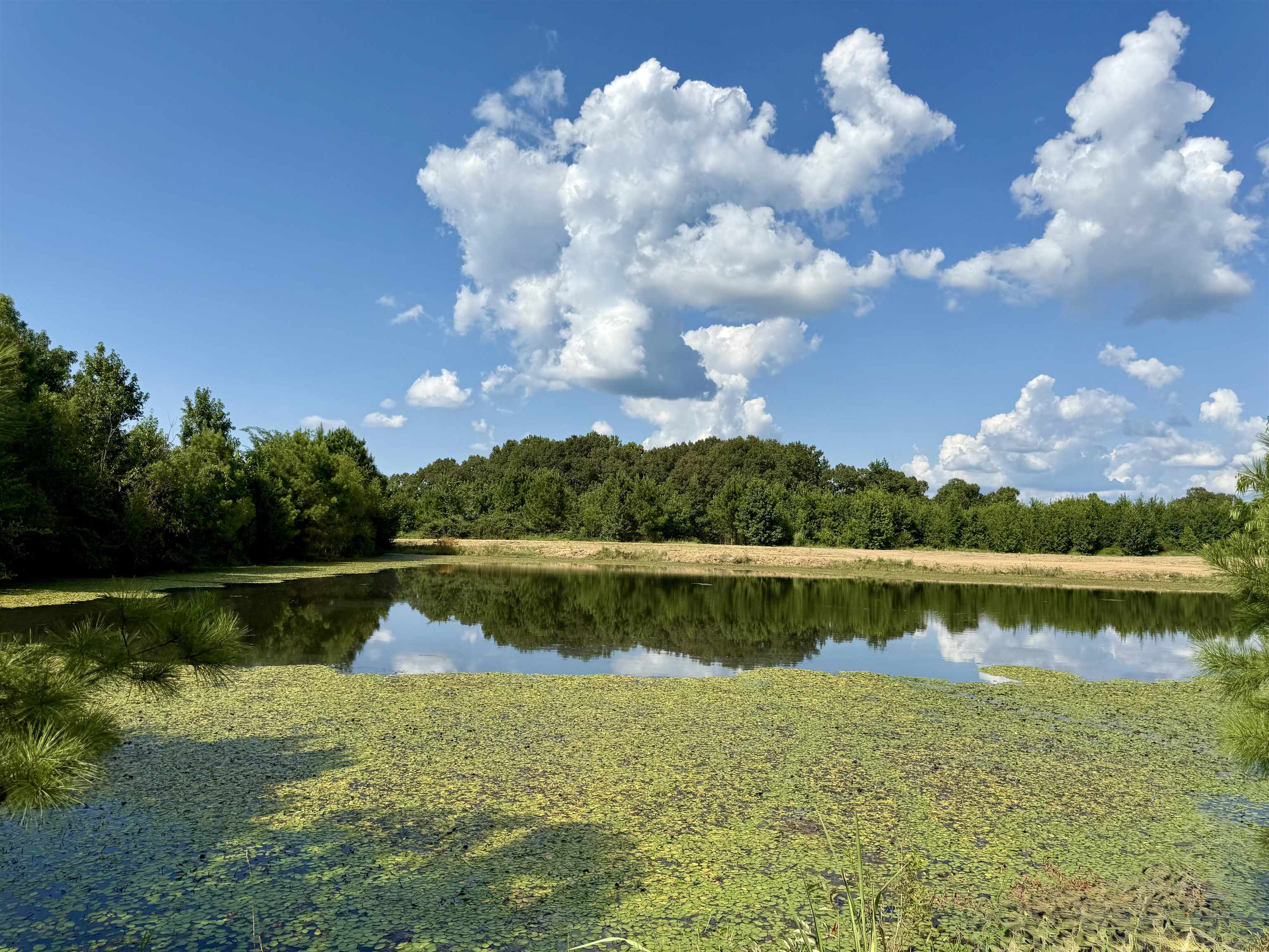 2360 Burnett Road Moscow, TN 38076 - Photo 14 of 34 a view of a lake