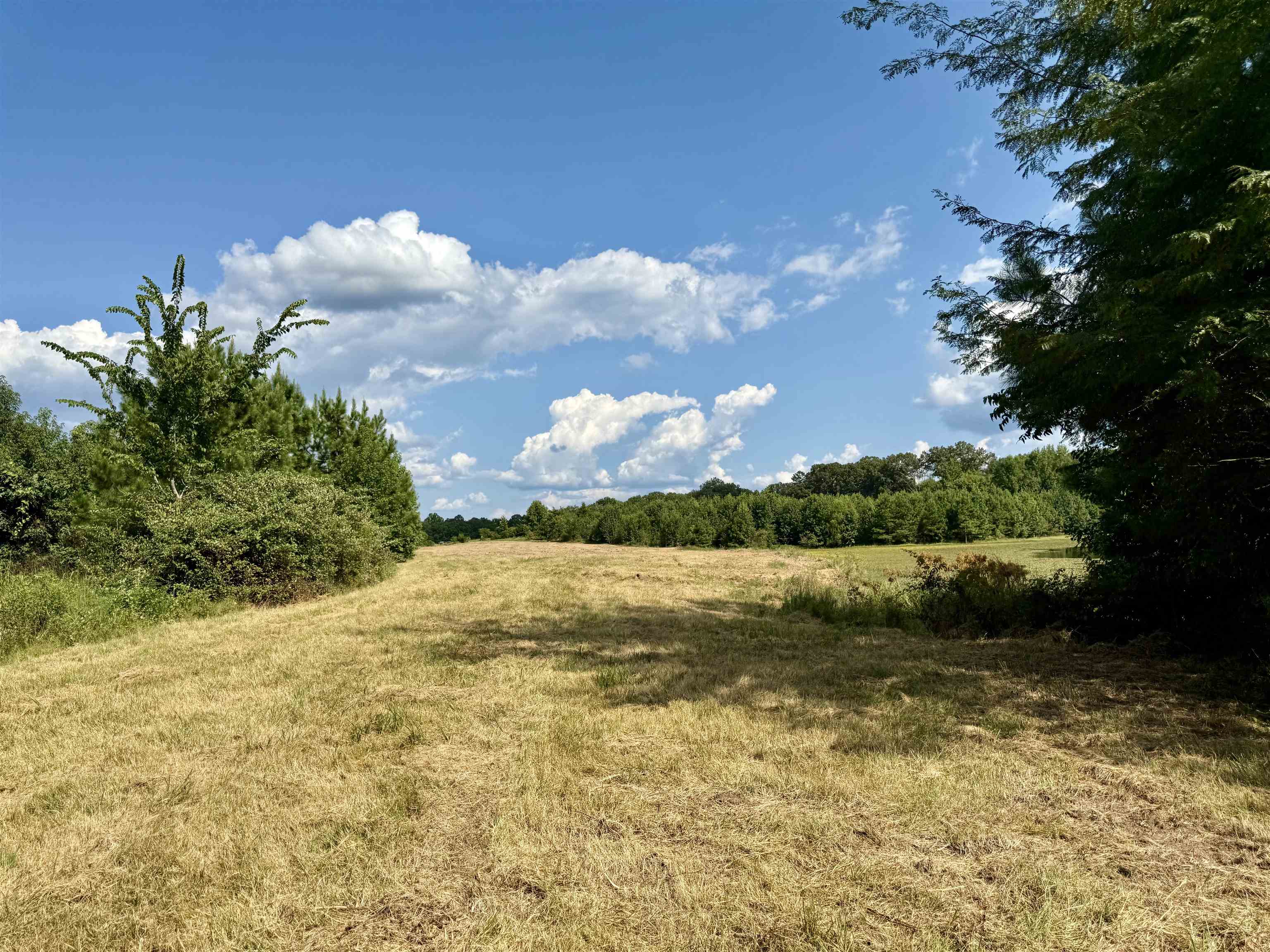 2360 Burnett Road Moscow, TN 38076 - Photo 15 of 33