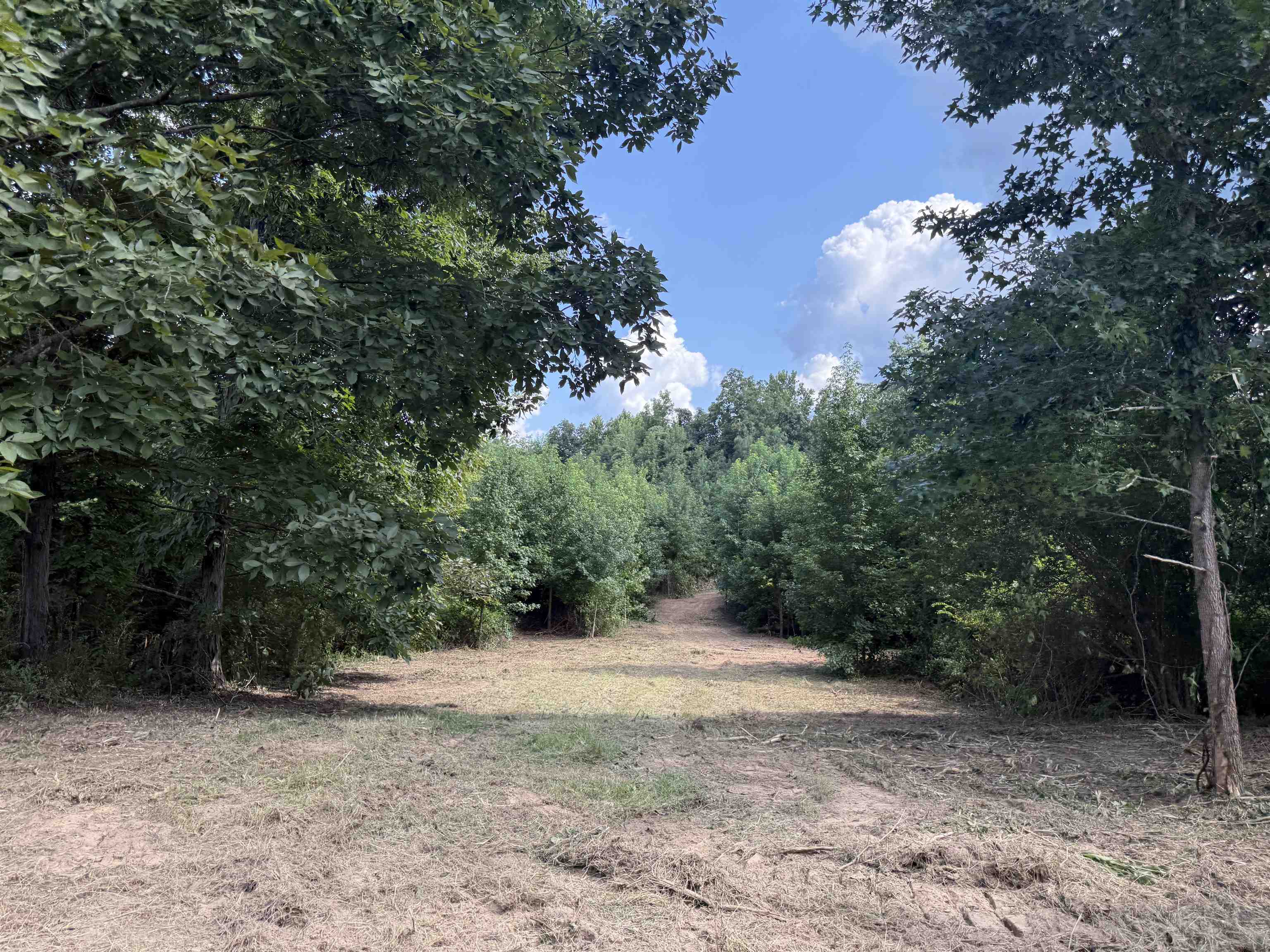 2360 Burnett Road Moscow, TN 38076 - Photo 15 of 34