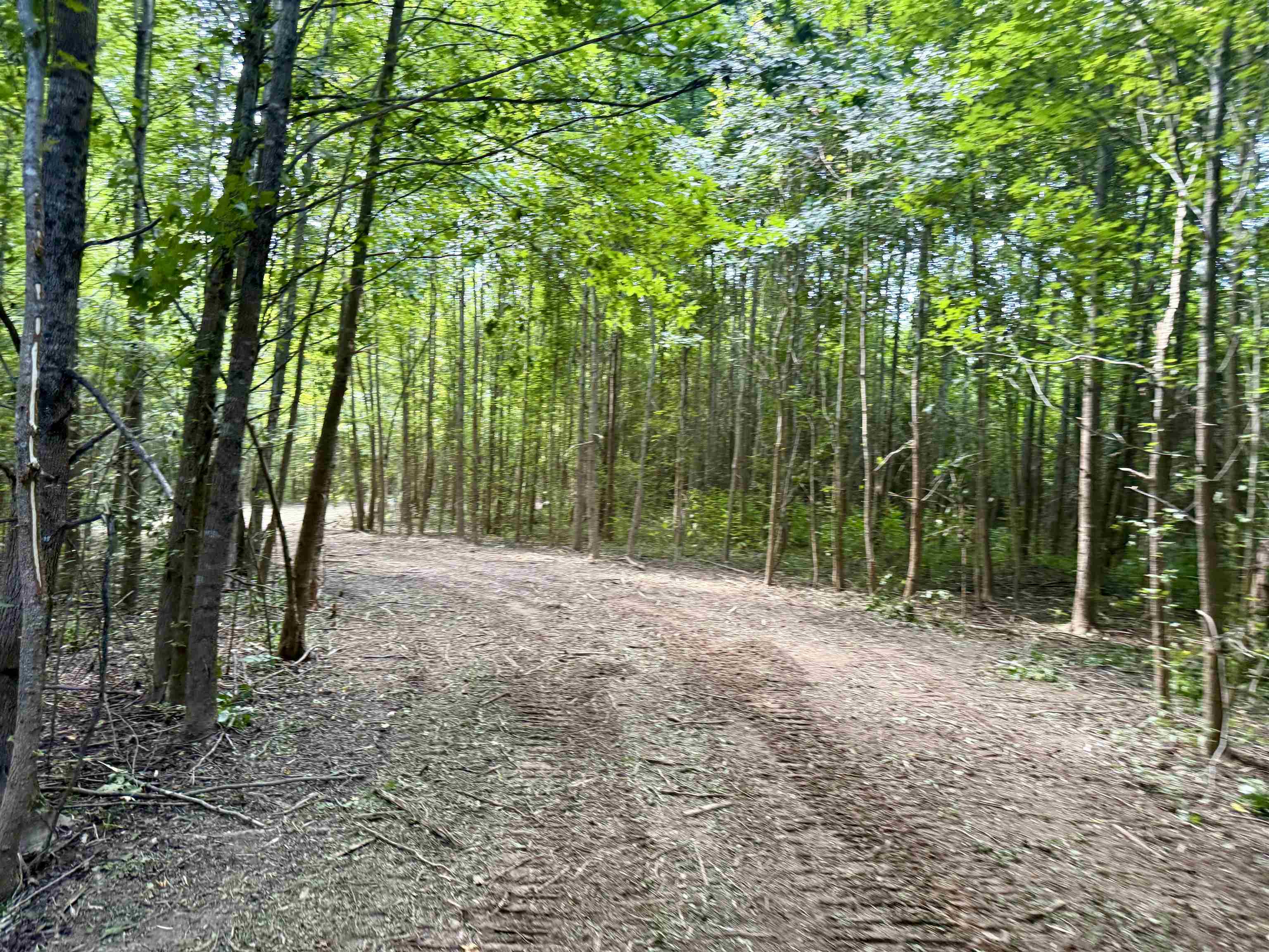 2360 Burnett Road Moscow, TN 38076 - Photo 16 of 34 a view of outdoor space and trees