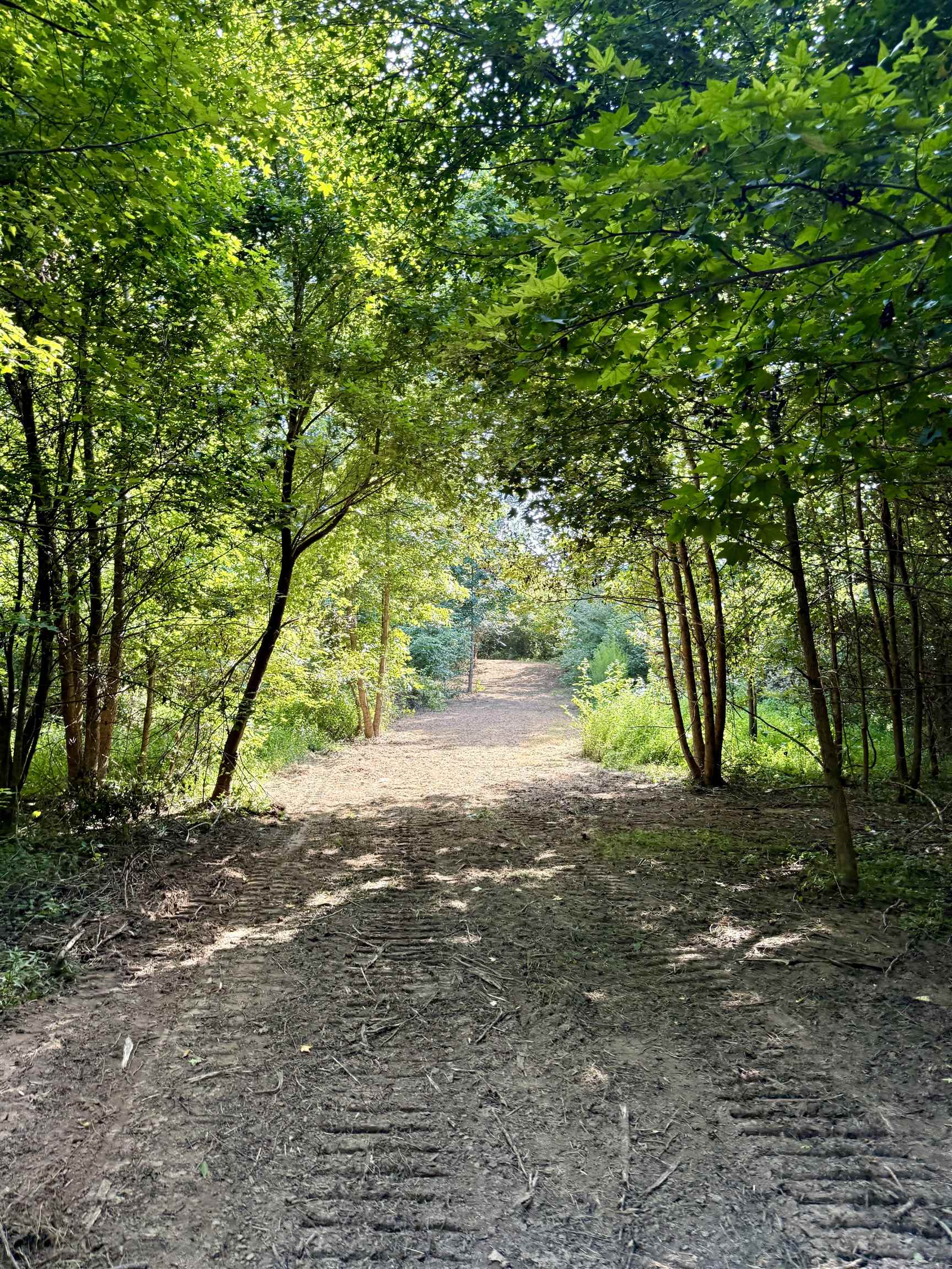 2360 Burnett Road Moscow, TN 38076 - Photo 16 of 33