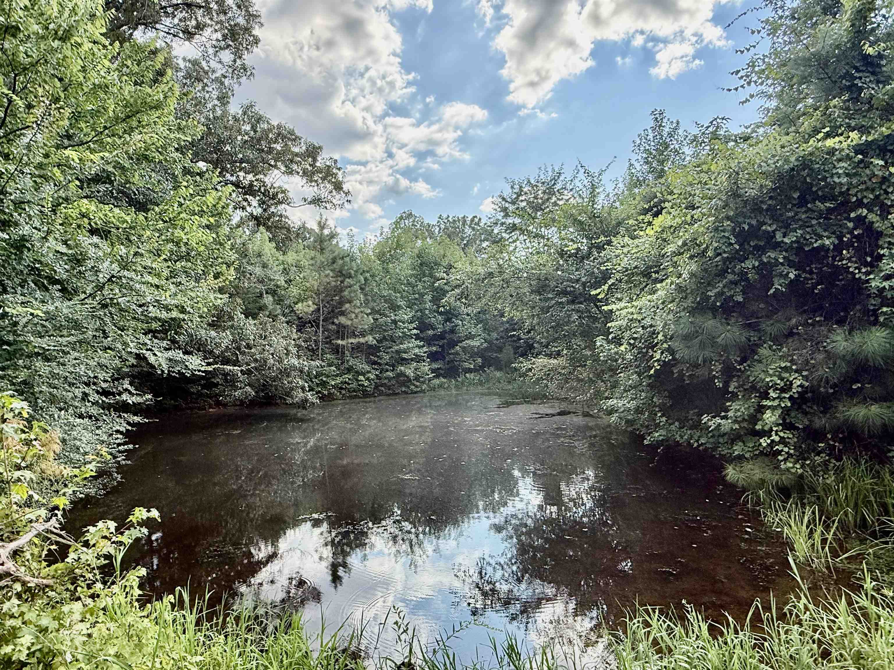 2360 Burnett Road Moscow, TN 38076 - Photo 18 of 33