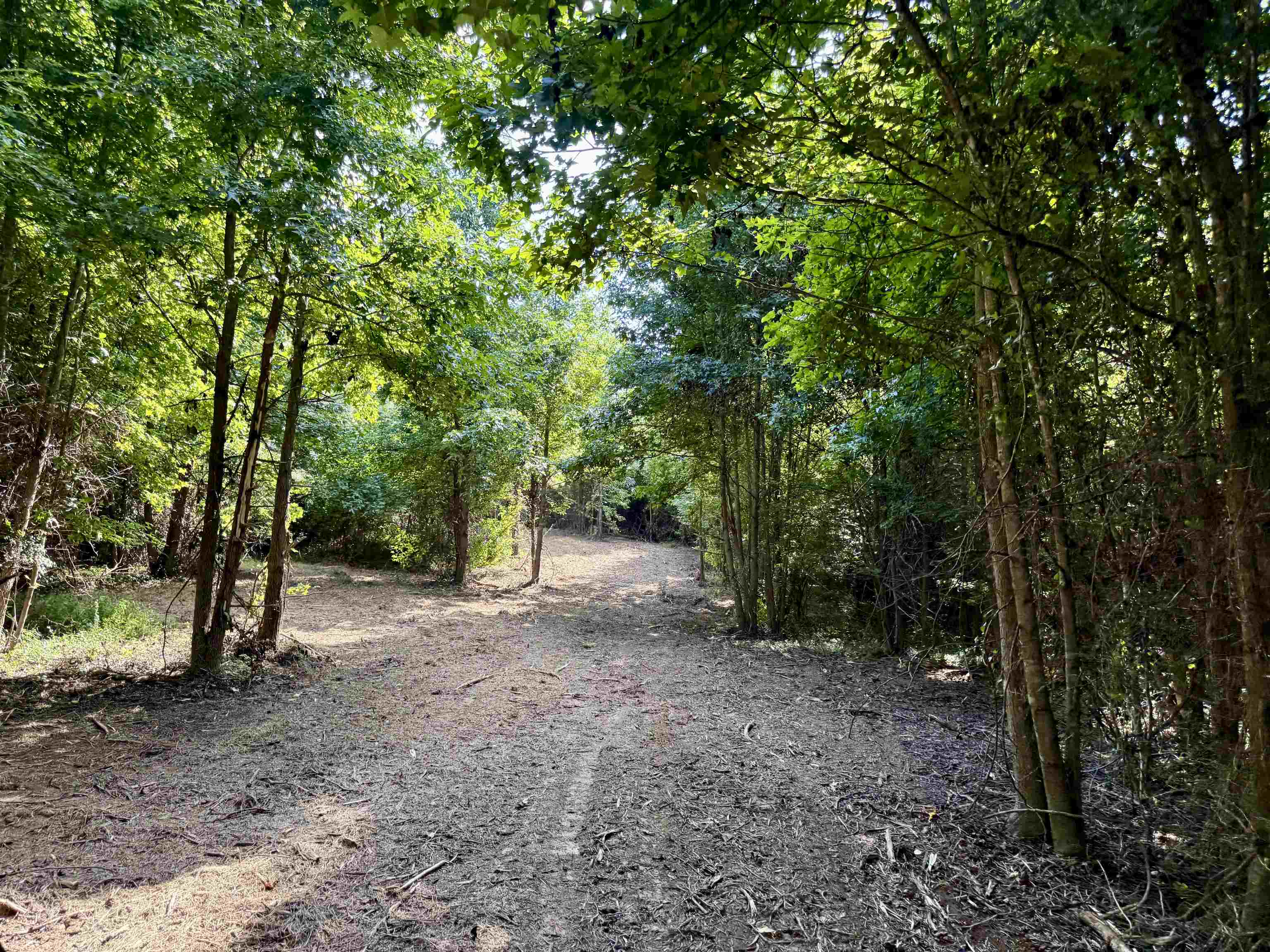 2360 Burnett Road Moscow, TN 38076 - Photo 23 of 34
