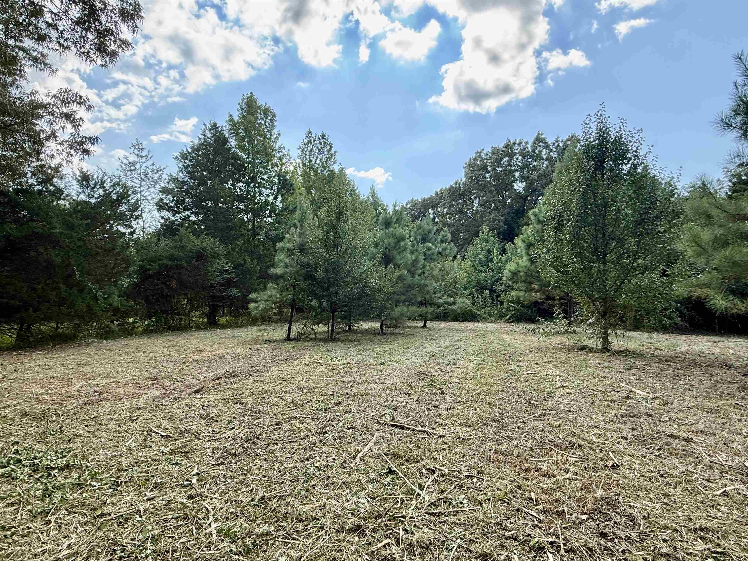 2360 Burnett Road Moscow, TN 38076 - Photo 24 of 33