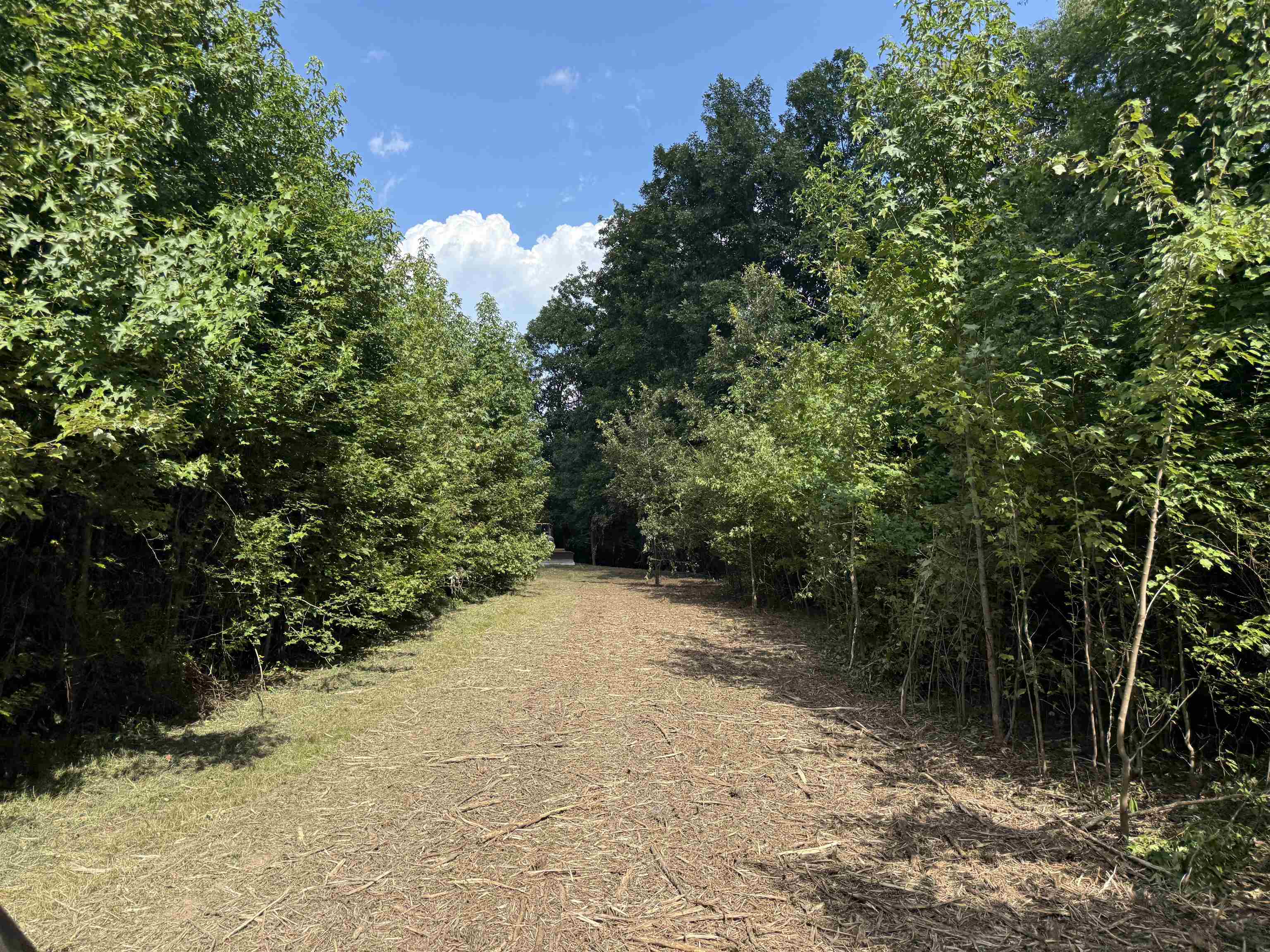 2360 Burnett Road Moscow, TN 38076 - Photo 25 of 33