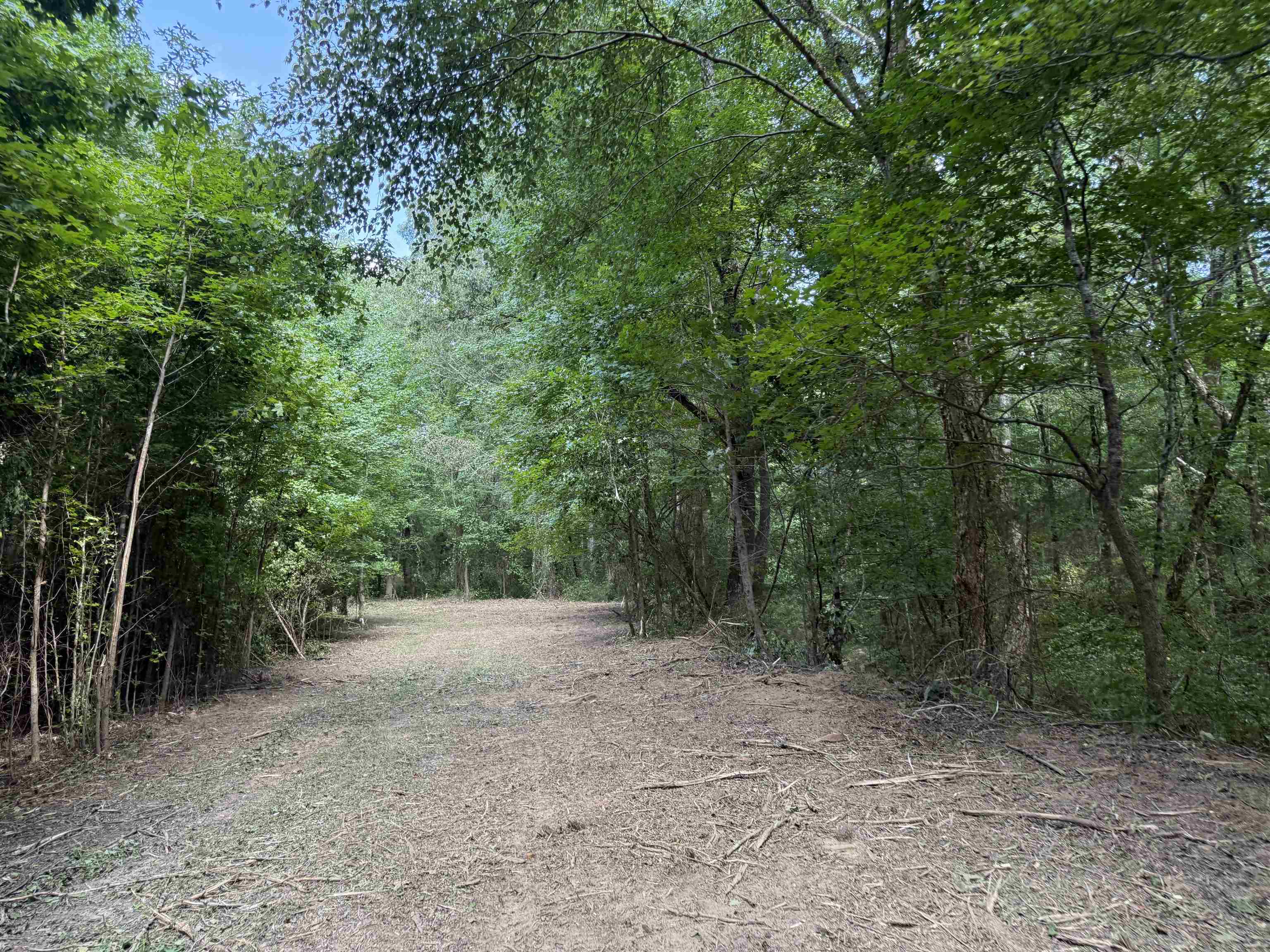 2360 Burnett Road Moscow, TN 38076 - Photo 28 of 33