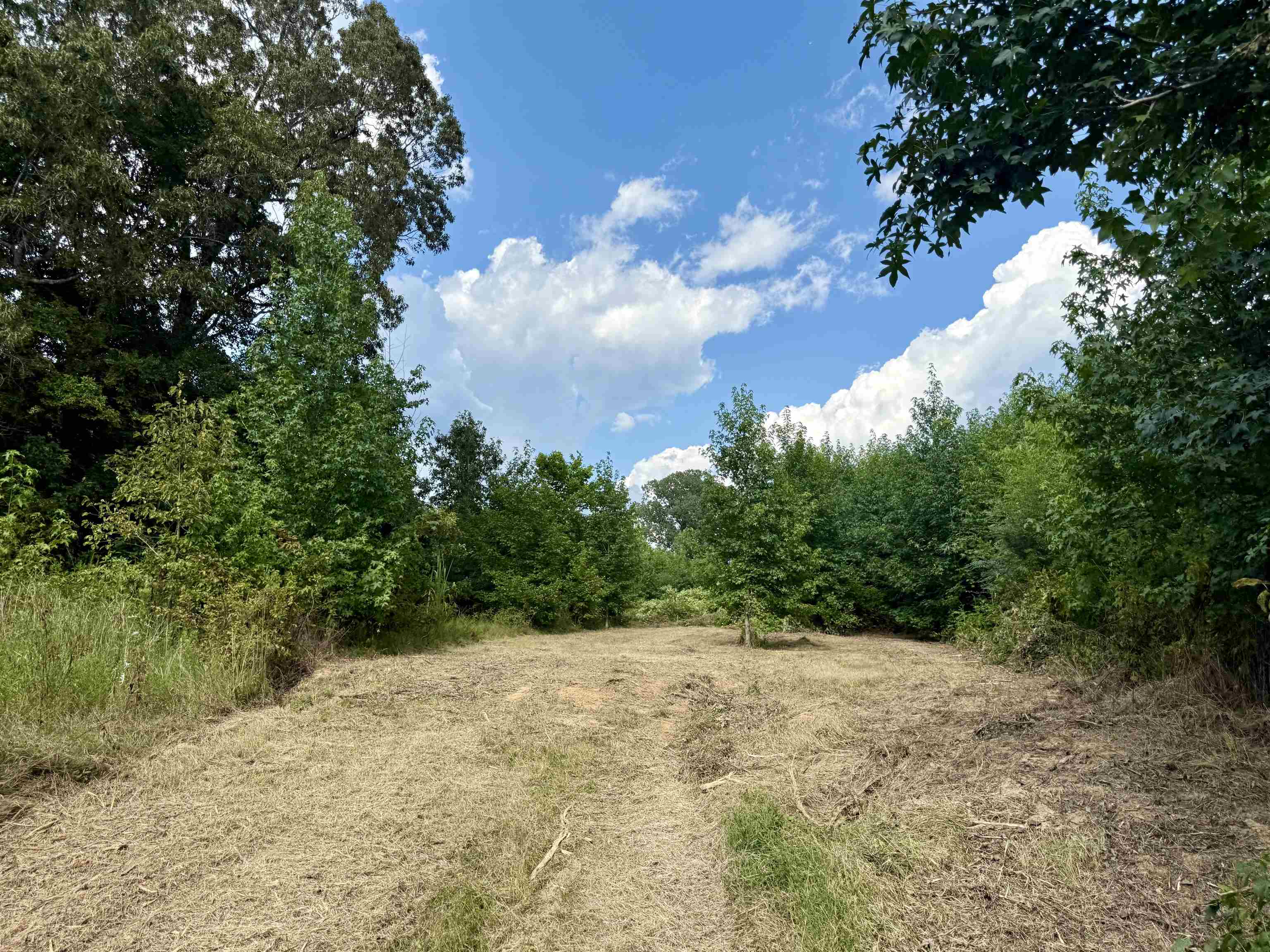 2360 Burnett Road Moscow, TN 38076 - Photo 29 of 33