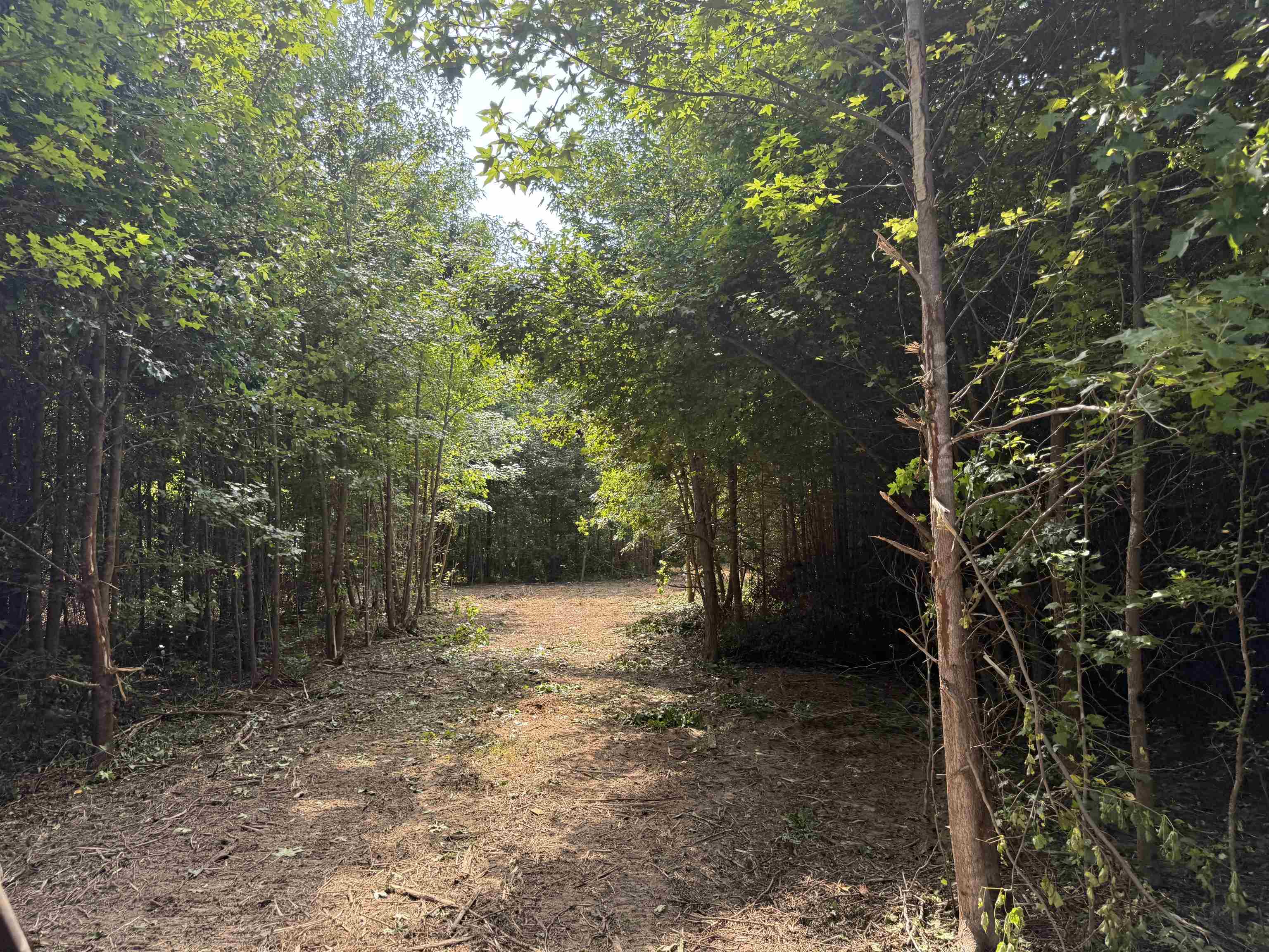 2360 Burnett Road Moscow, TN 38076 - Photo 30 of 33