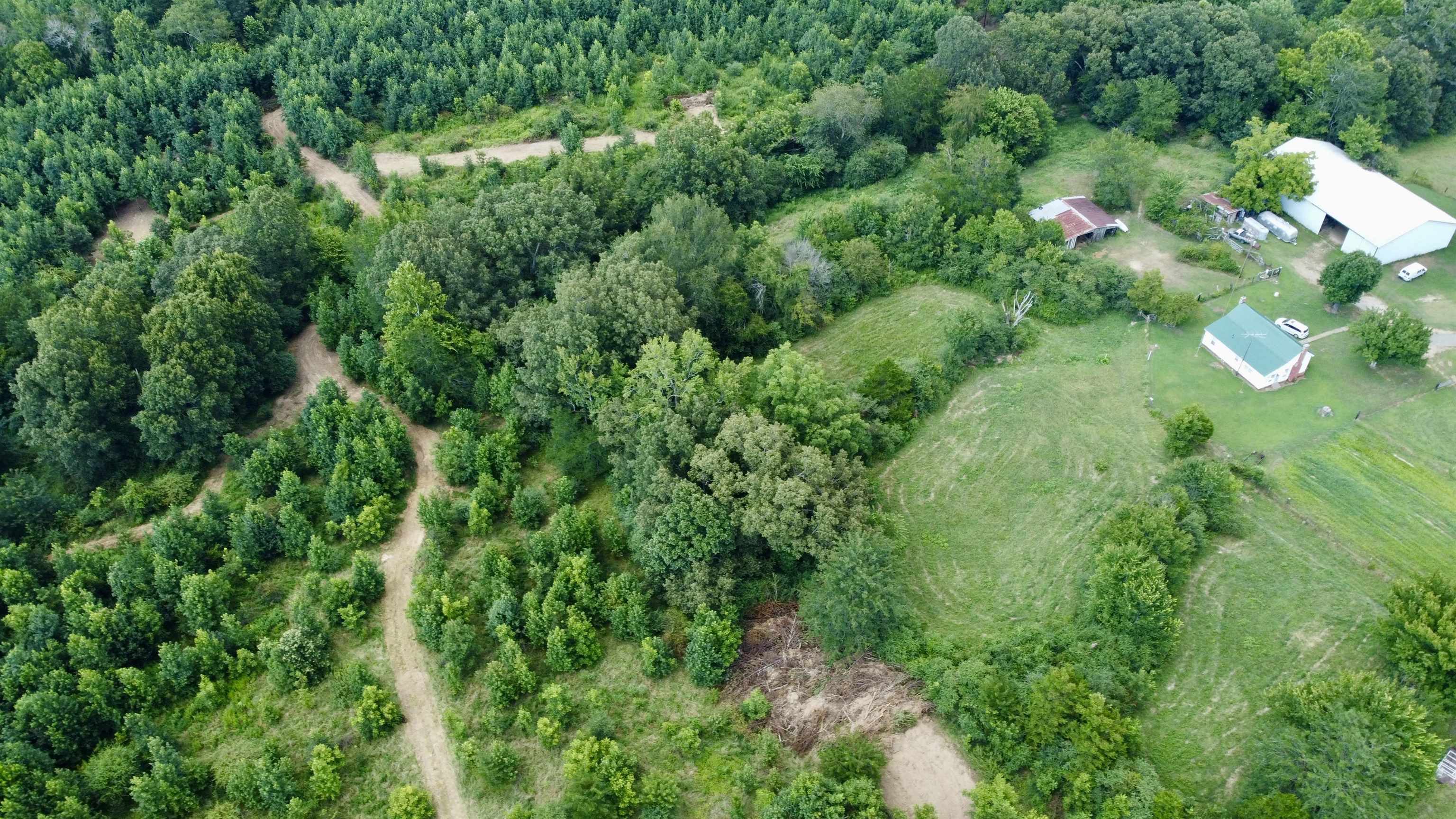2360 Burnett Road Moscow, TN 38076 - Photo 6 of 34 an aerial view of green landscape with trees