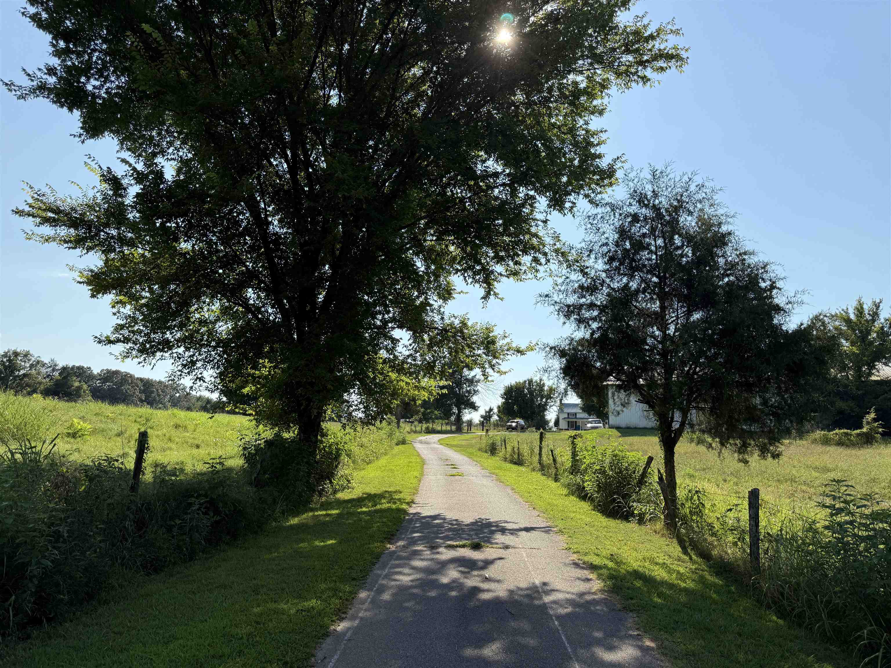 2360 Burnett Road Moscow, TN 38076 - Photo 9 of 33