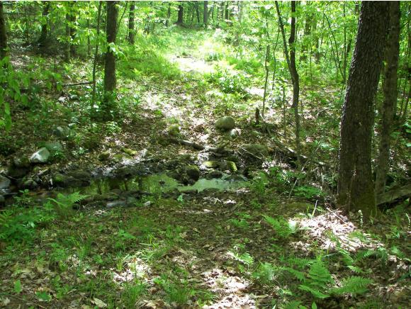0 Off Driveway Of 2126 Goshen Ripton Road Brandon, VT 05733 - Photo 1 of 14
