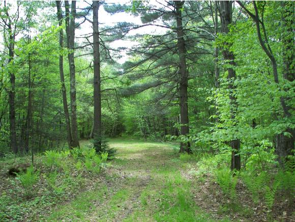 0 Off Driveway Of 2126 Goshen Ripton Road Brandon, VT 05733 - Photo 2 of 14