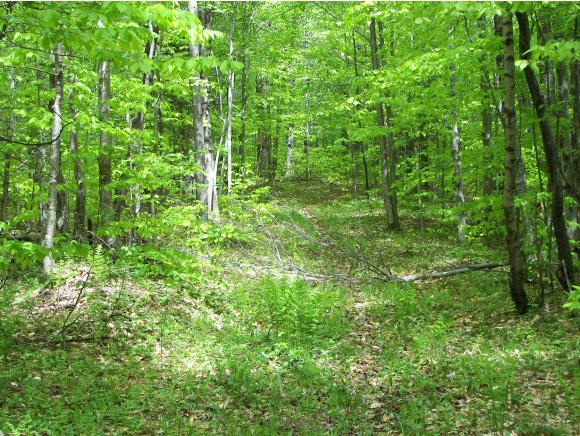 0 Off Driveway Of 2126 Goshen Ripton Road Brandon, VT 05733 - Photo 12 of 14
