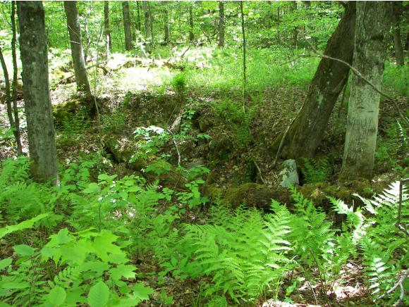 0 Off Driveway Of 2126 Goshen Ripton Road Brandon, VT 05733 - Photo 6 of 14