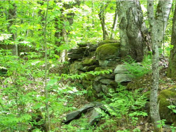 0 Off Driveway Of 2126 Goshen Ripton Road Brandon, VT 05733 - Photo 10 of 14