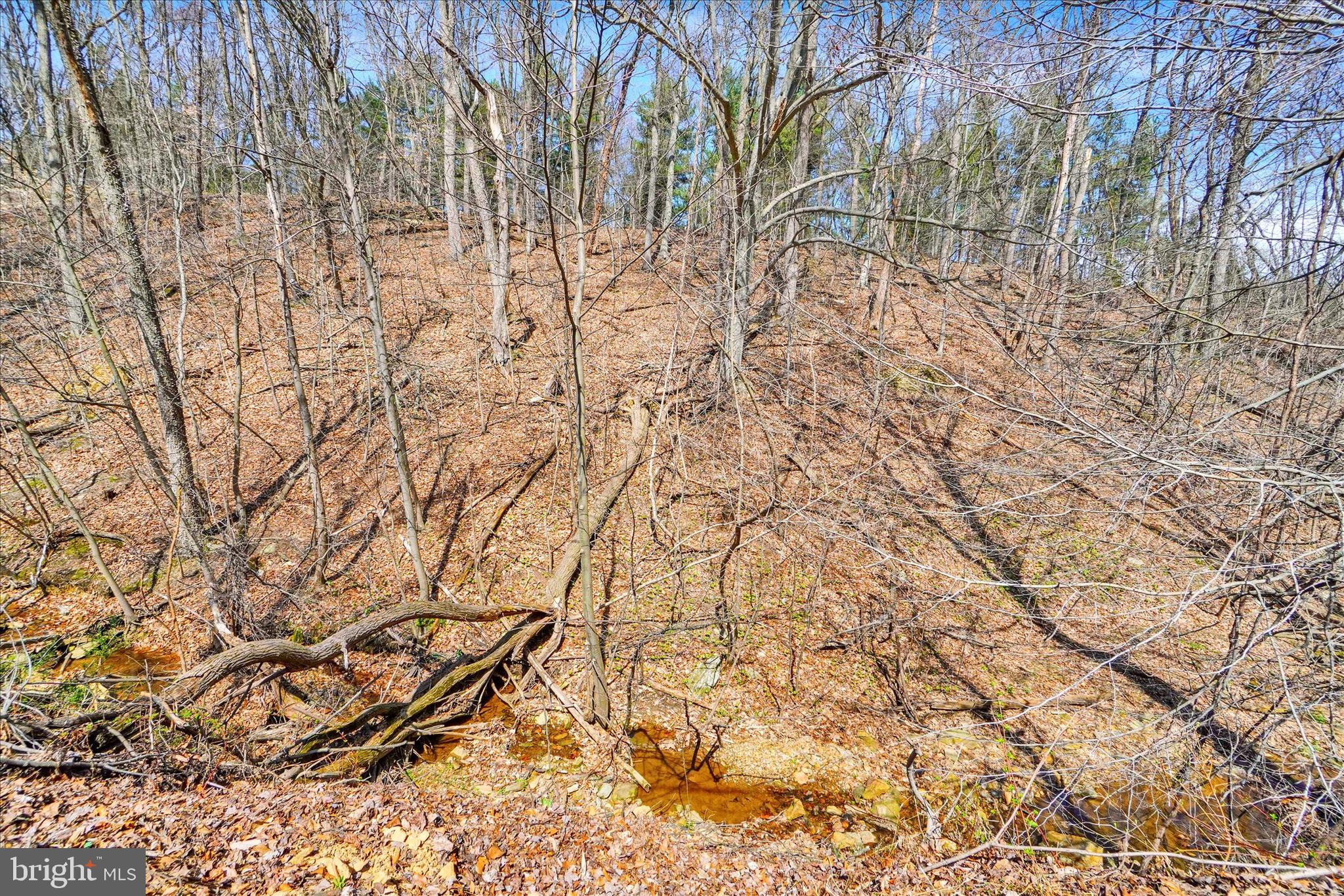 82 Fox Creek Road Wrightsville, PA 17368 - Photo 28 of 32 a backyard of a house with lots of green space